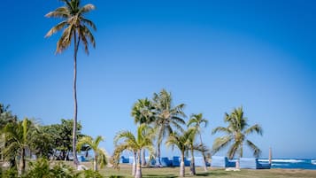 Een strand met palmbomen en een helderblauwe lucht.