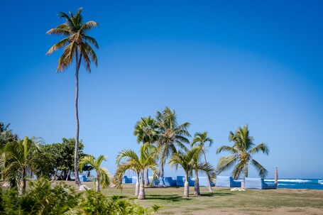 Villa Montana Beach Resort - Image 44