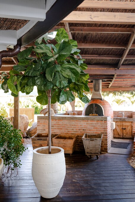 Villa Montana Beach Resort - Image 65