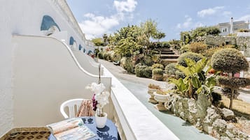 Tripla Standard | Terrazza/patio