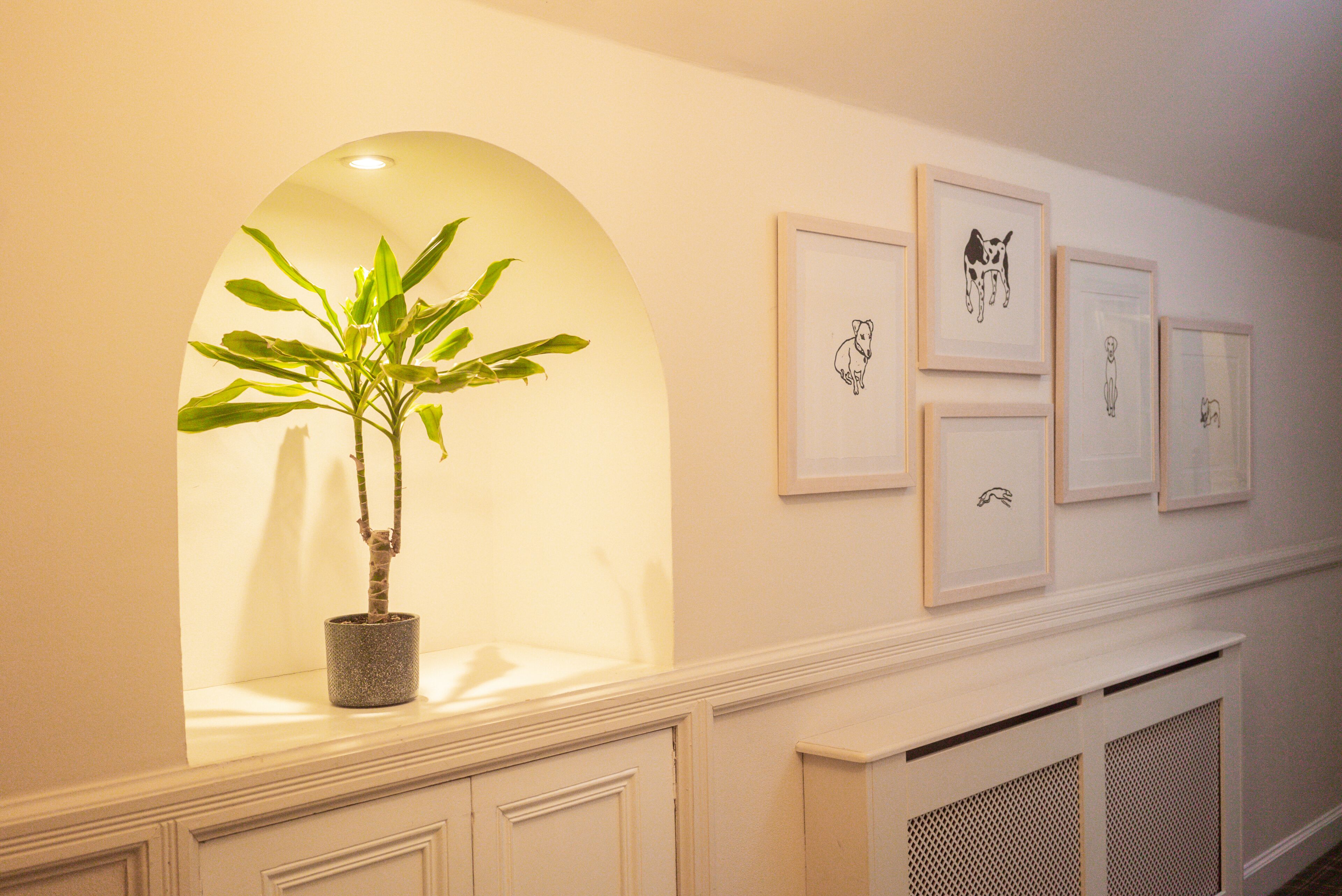 A hallway with a potted plant, framed artwork, and a white fireplace.