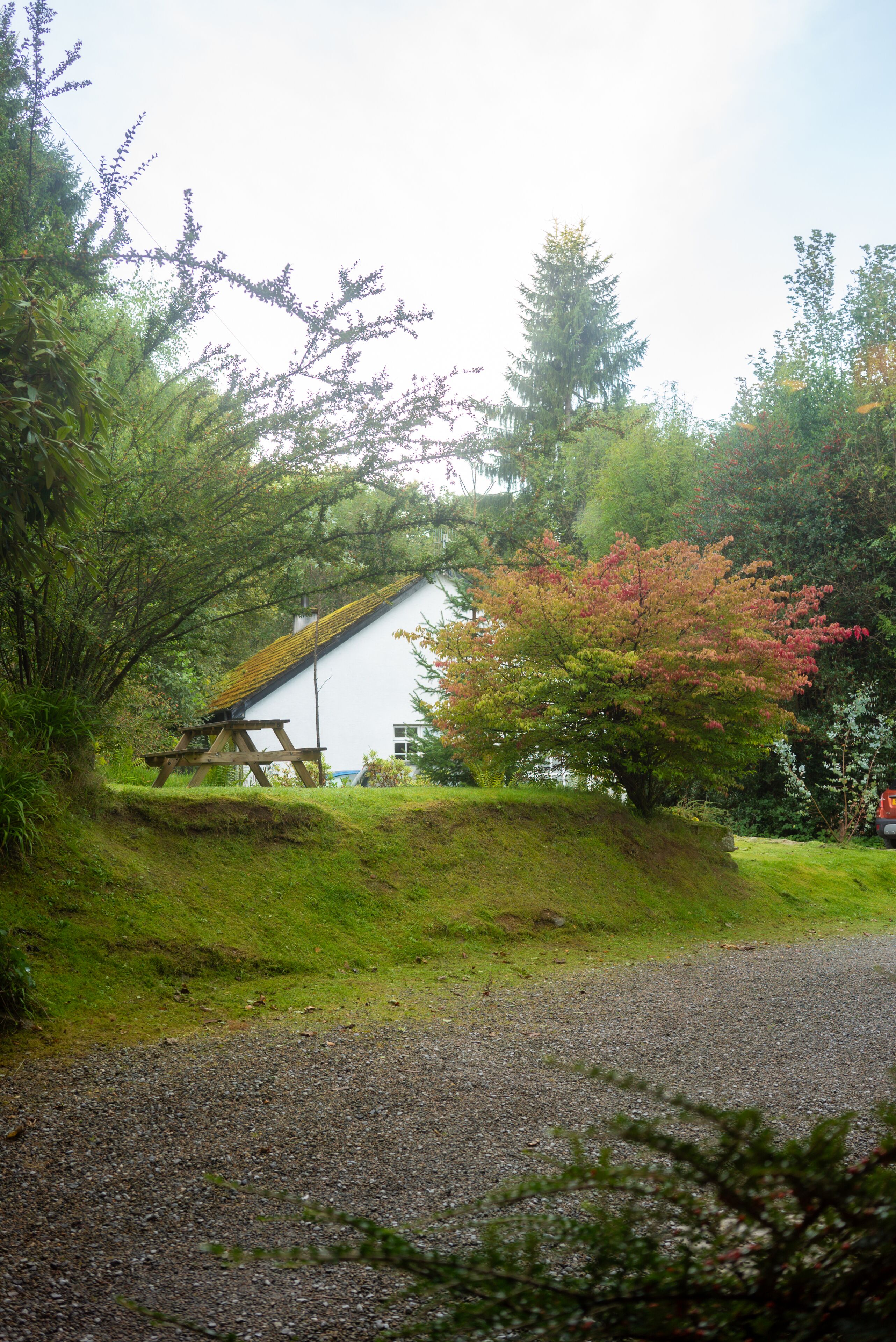 snug room, twin | desk, iron/ironing board, free wifi, bed sheets