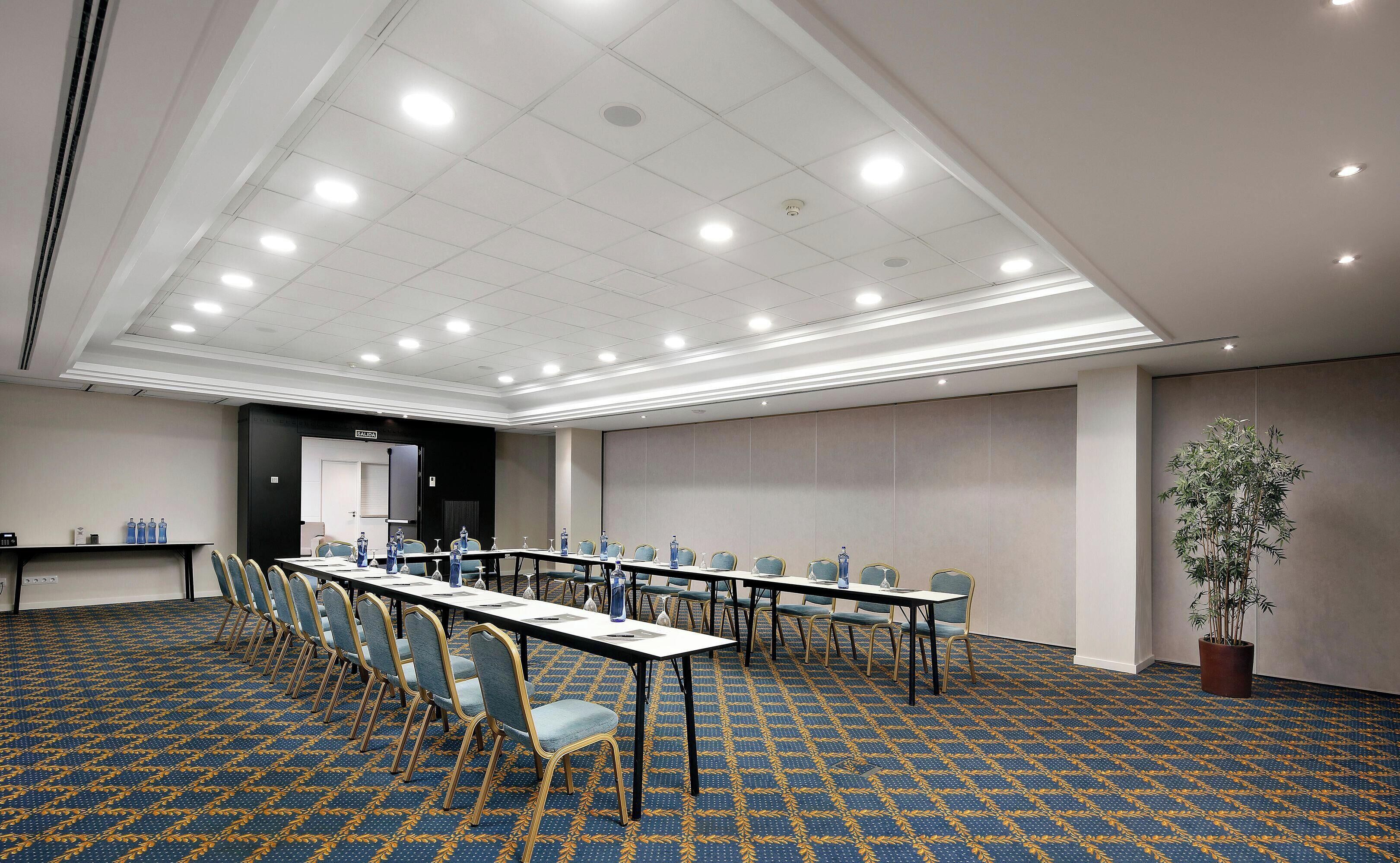 A conference room with a patterned carpet, long tables, chairs, and a potted plant.