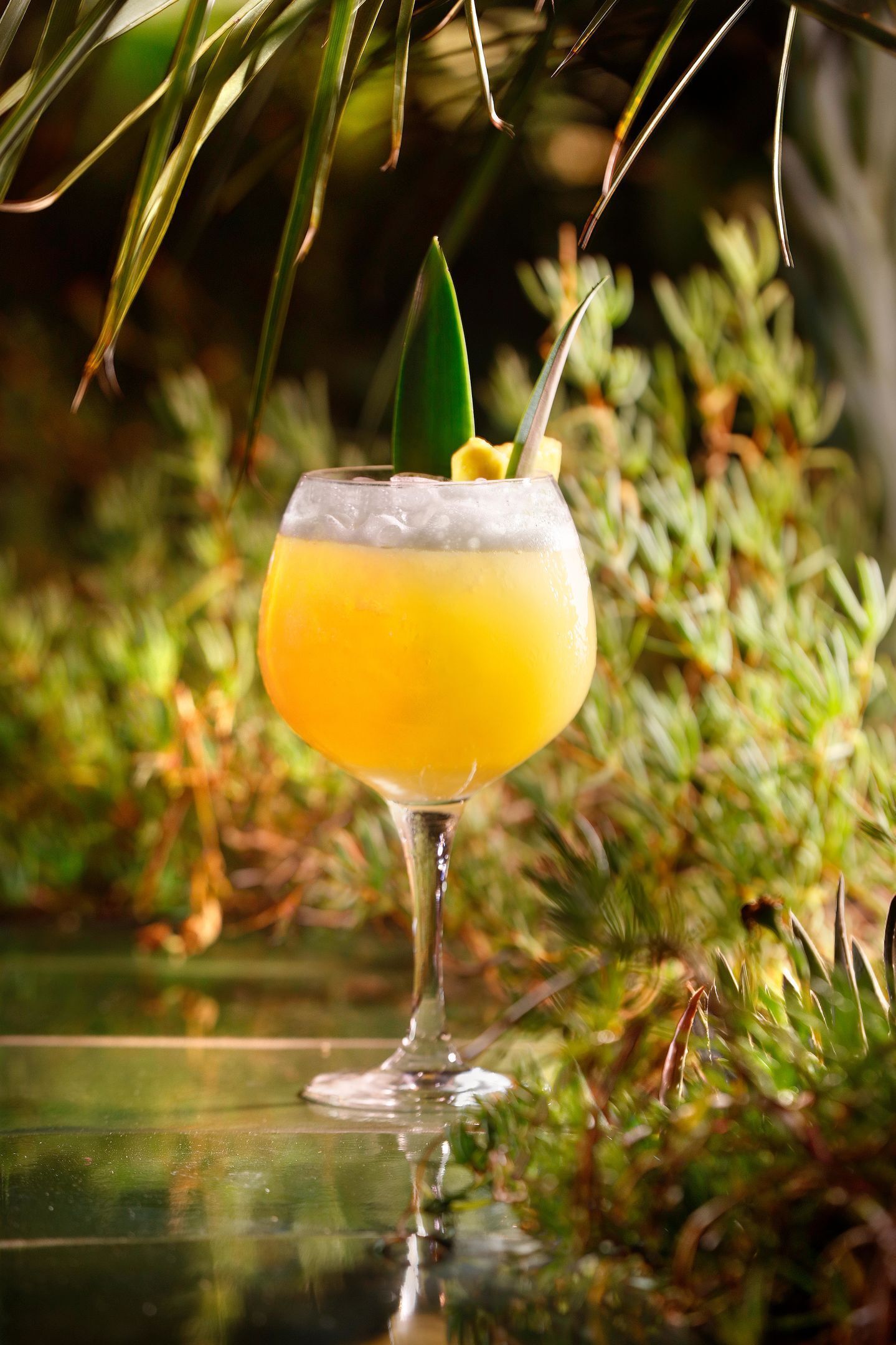 A cocktail in a glass with a green leaf garnish, set against a background of green foliage.