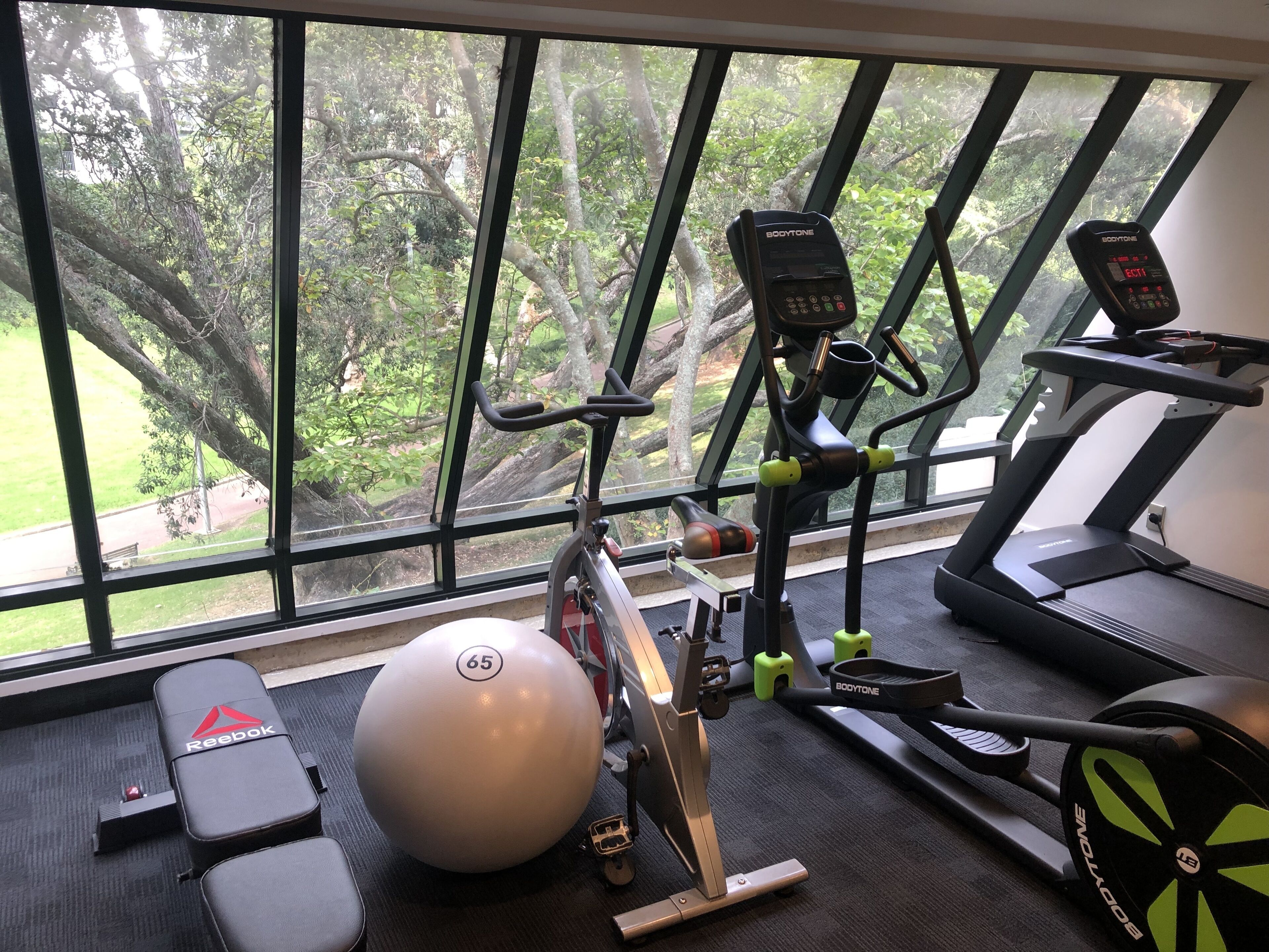 Une salle de sport équipée d’un rameur, d’un vélo d’appartement, d’un tapis de course et d’un banc Reebok.