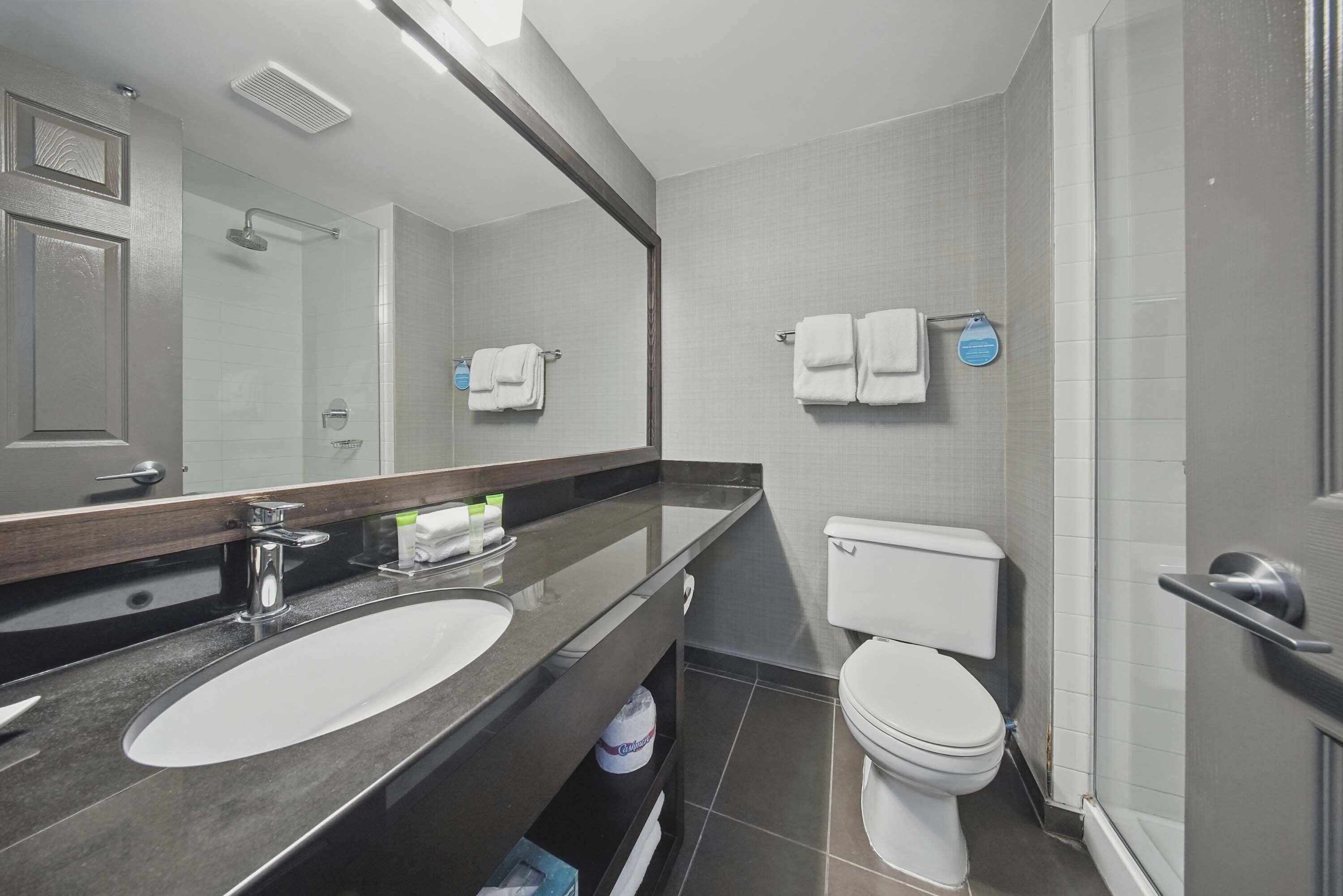 A modern bathroom with a large sink, mirror, and toilet.