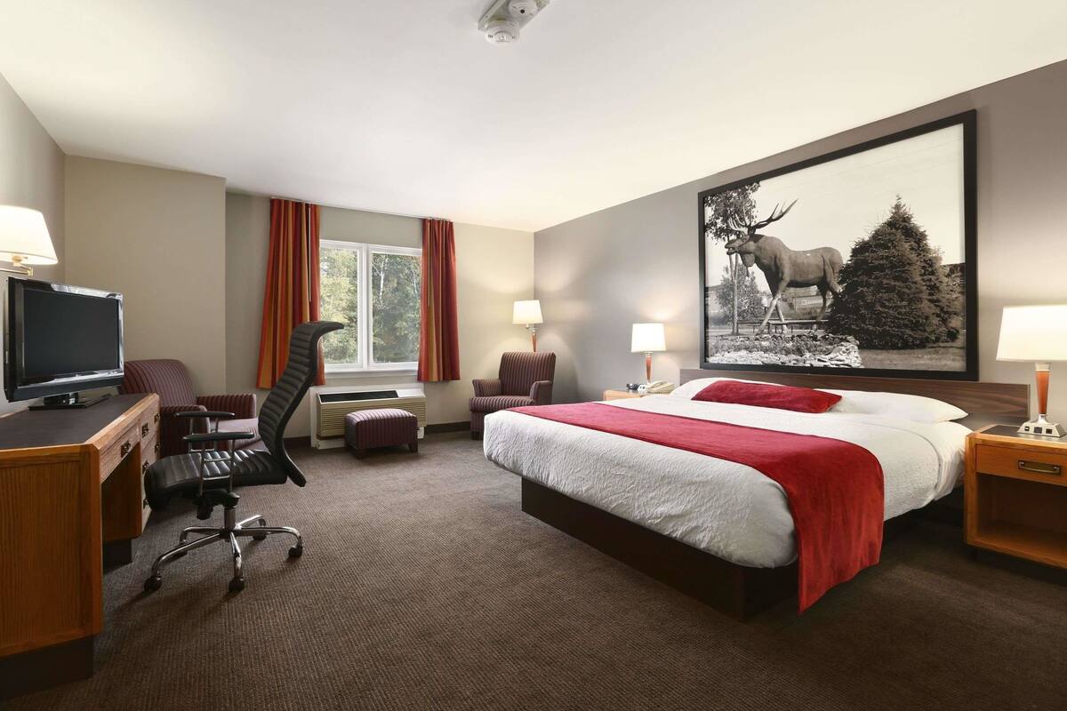 A hotel room with a large bed, a desk with a TV, a chair, a window with curtains, and a painting of a moose.