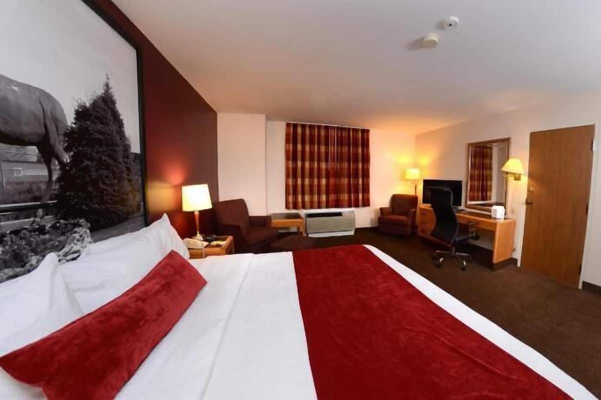 Blackout drapes, soundproofing, iron/ironing board