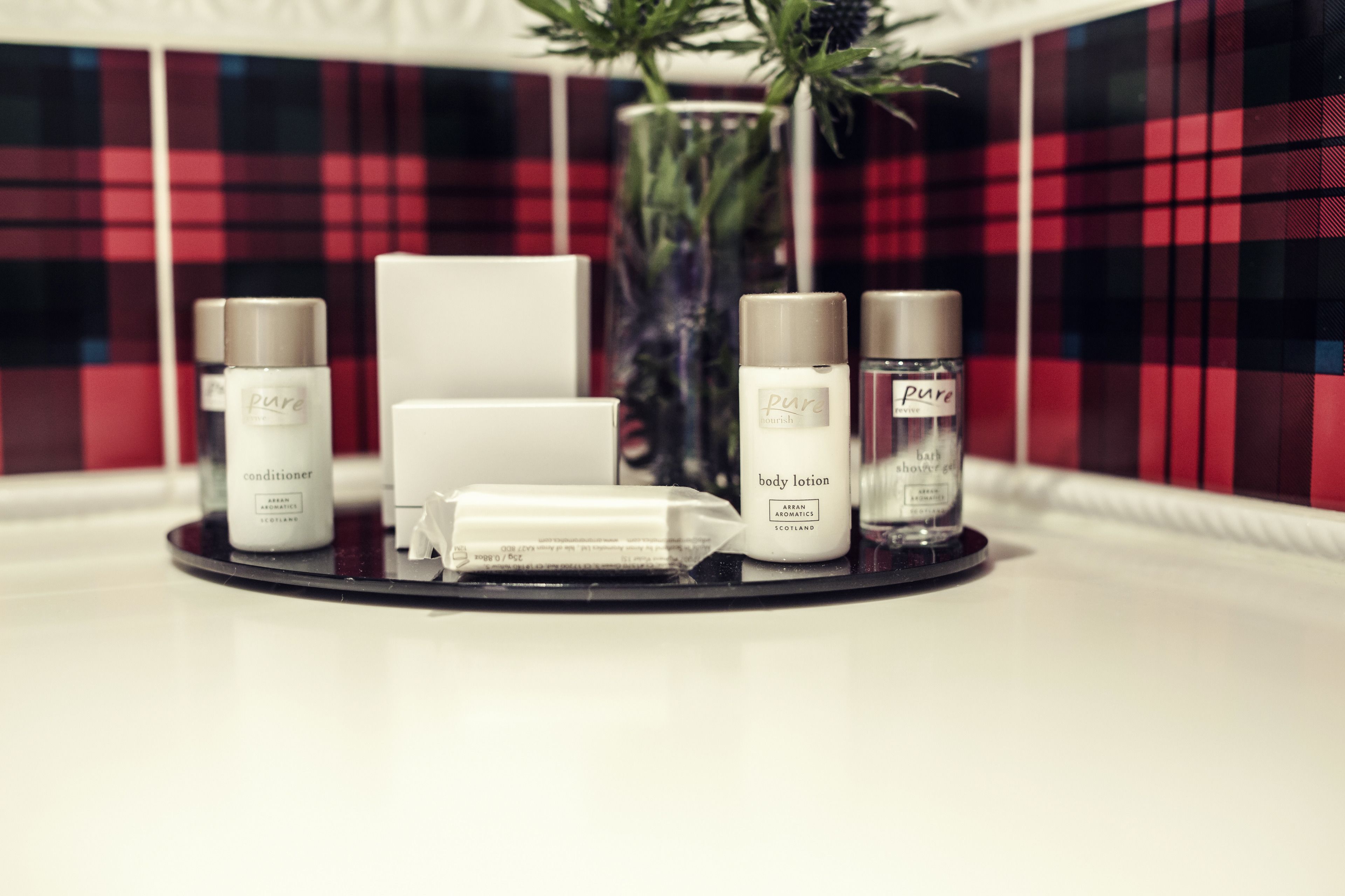 combined shower/bathtub, free toiletries, hair dryer, towels