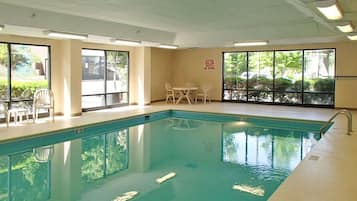 Indoor pool, sun loungers