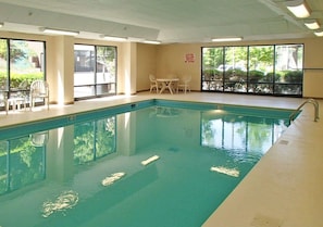 Indoor pool, sun loungers