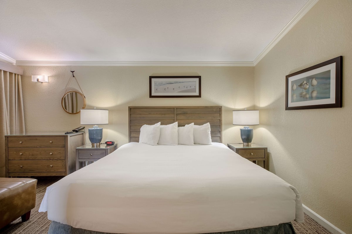 Suite, 1 King Bed, Kitchenette, Partial Ocean View (No Pets in room type;with Sofabed) | 1 bedroom, in-room safe, individually decorated, individually furnished