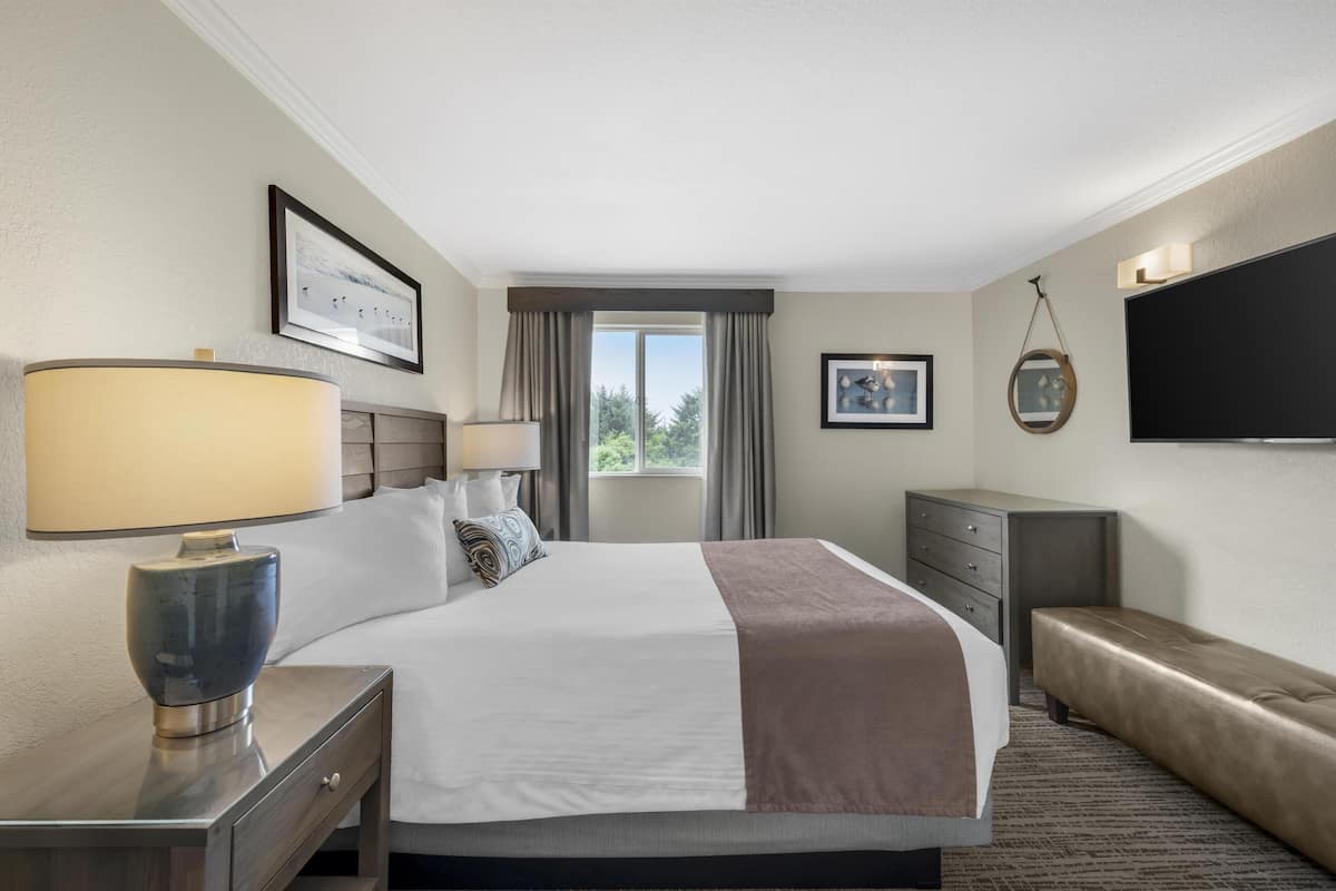 Habitación de hotel con cama, mesitas de noche, escritorio, televisión y ventana con cortinas.