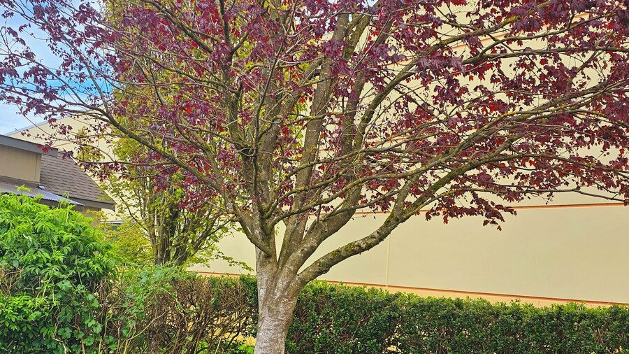 Ashley Inn of Tillamook