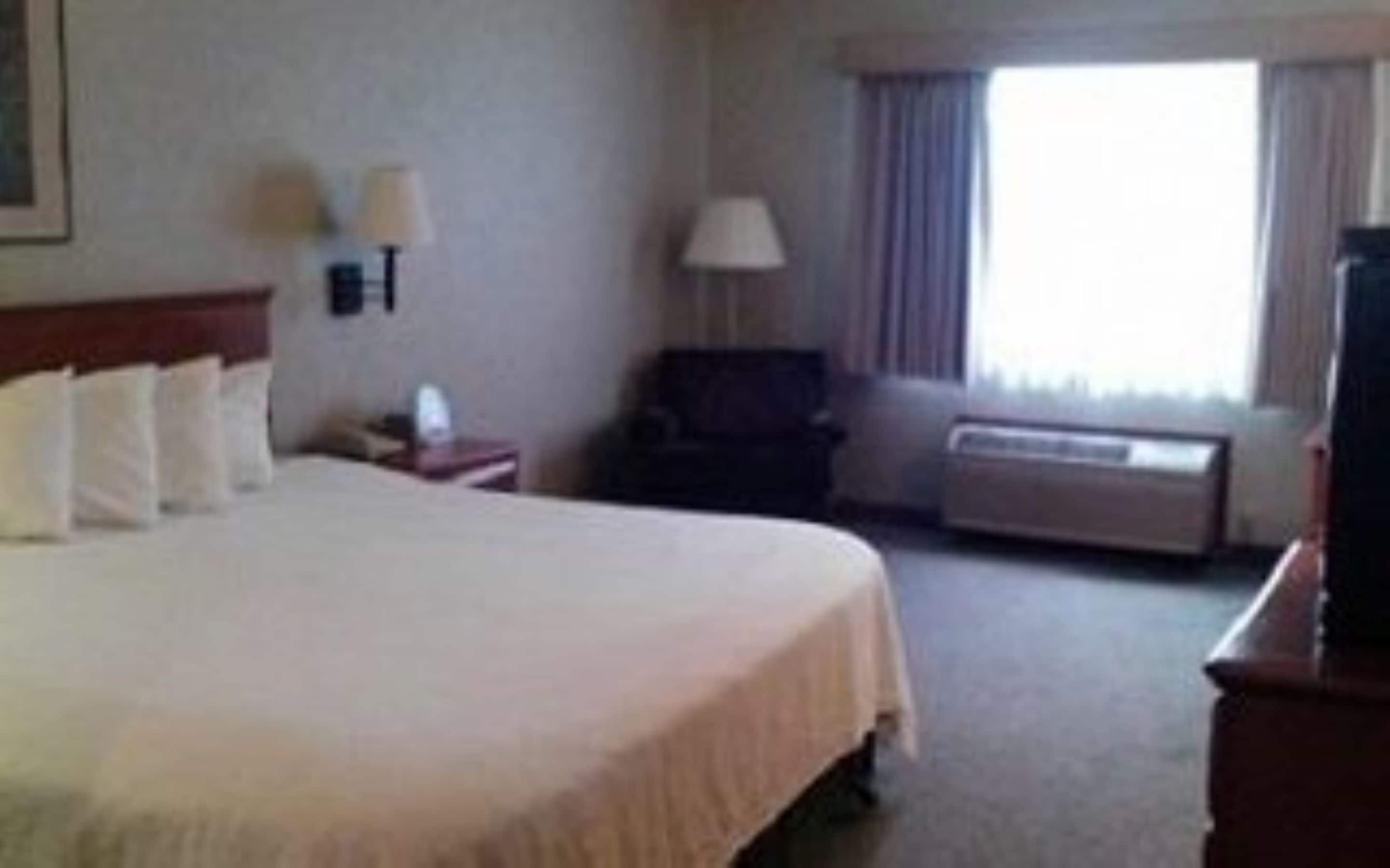 A hotel room with a large bed, a desk with a lamp, a chair, a TV, and a window with curtains.