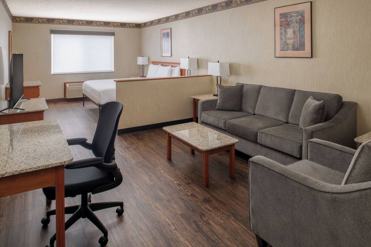 A hotel room with a bed, a desk, a sofa, and a small table.