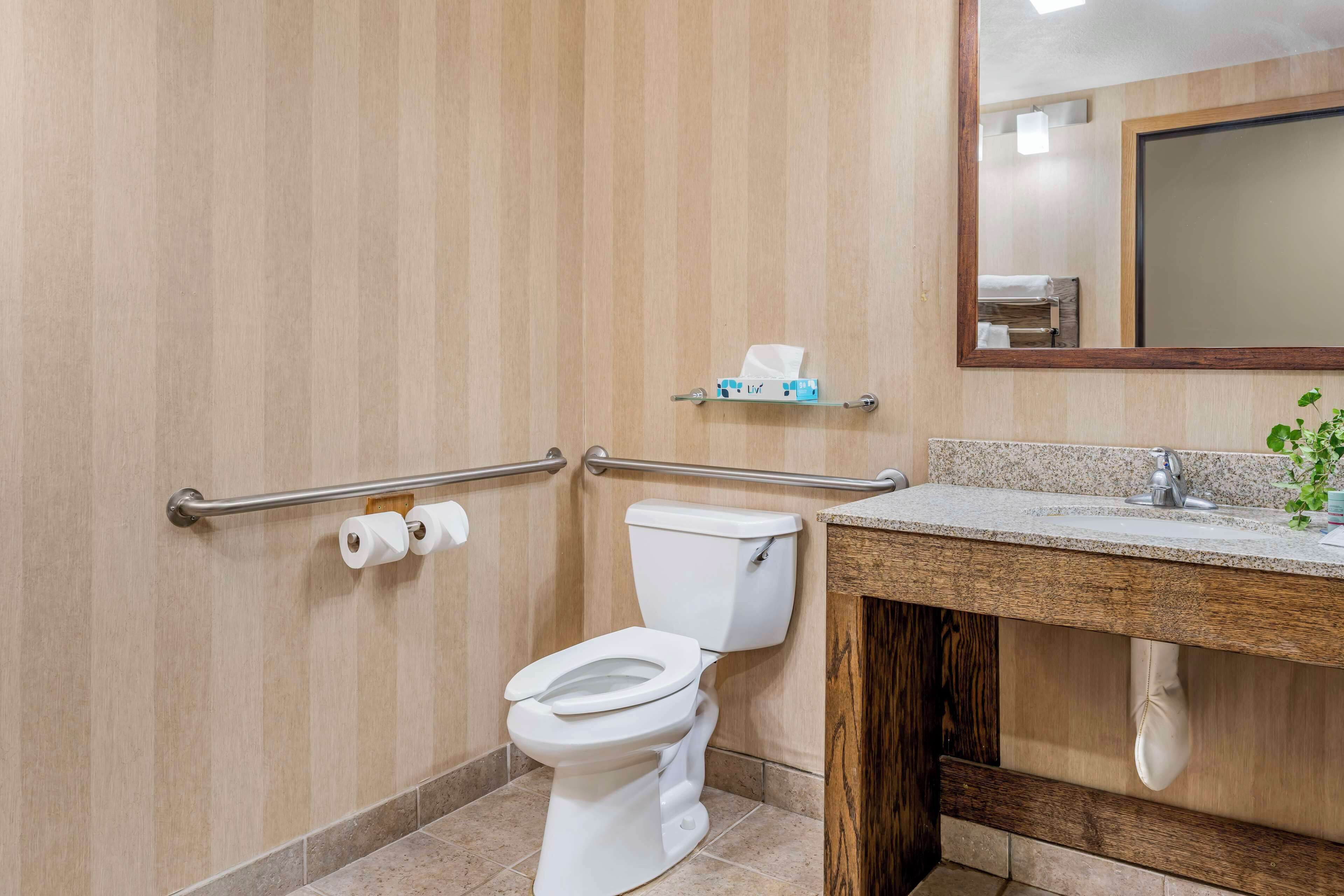 A bathroom with a toilet, a sink, a mirror, and a handrail.