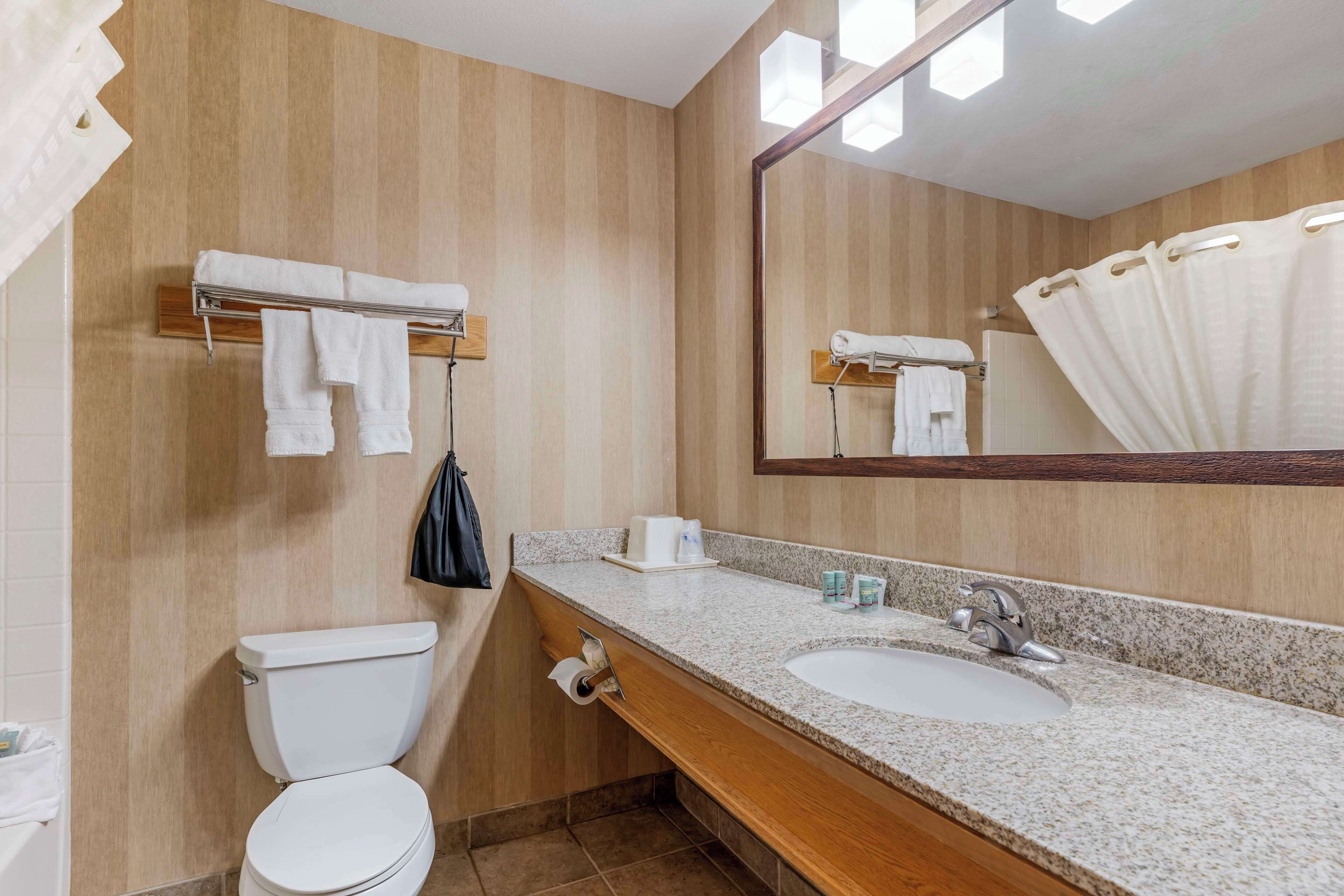 executive suite, 1 king bed, non smoking, refrigerator & microwave | bathroom | combined shower/bathtub, free toiletries, hair dryer, towels
