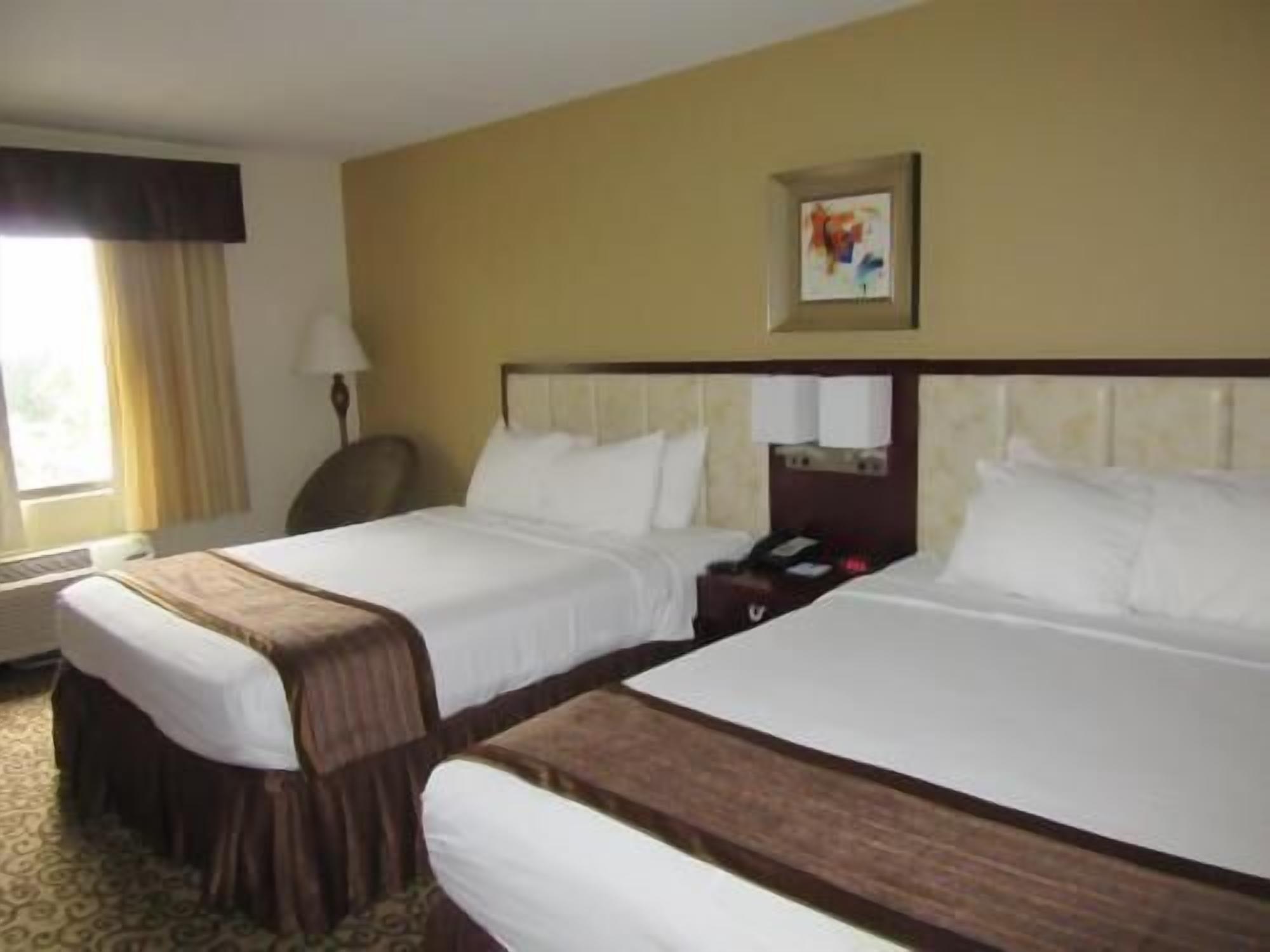 Premium bedding, Select Comfort beds, in-room safe, desk