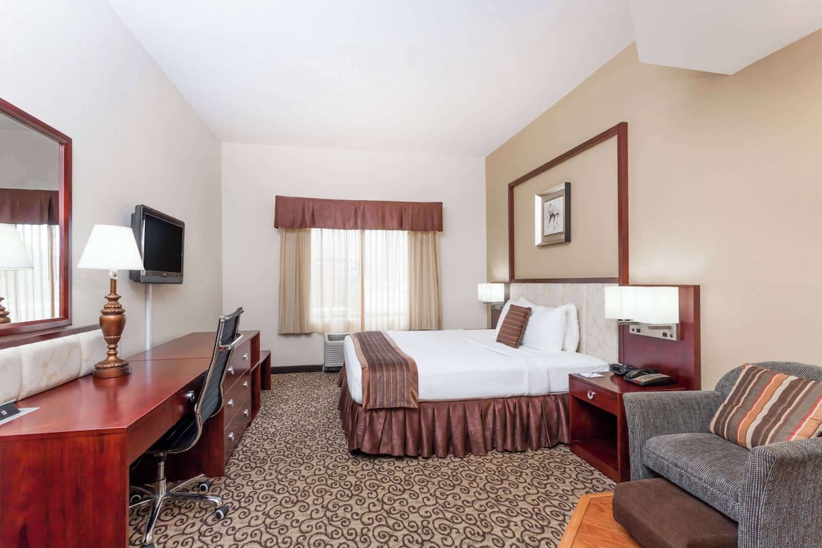 Une chambre d’hôtel avec un lit, un bureau, une chaise, une télévision, une lampe, un tableau au mur et une moquette à motifs.