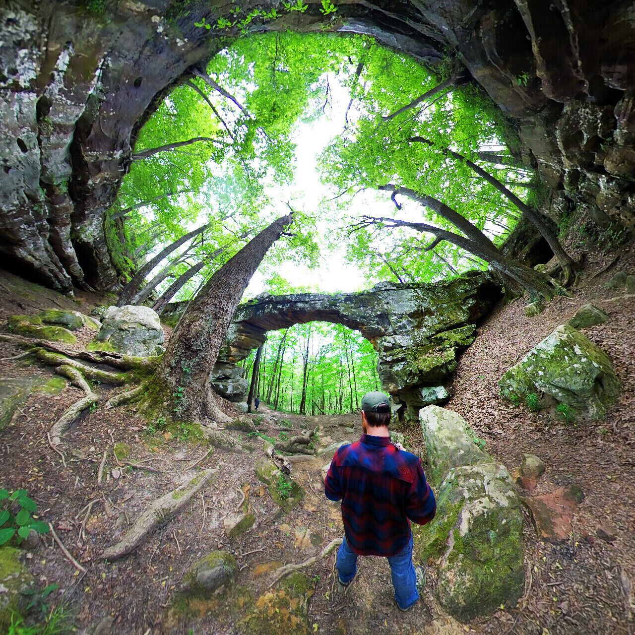 Un área boscosa con una formación rocosa natural en forma de arco.