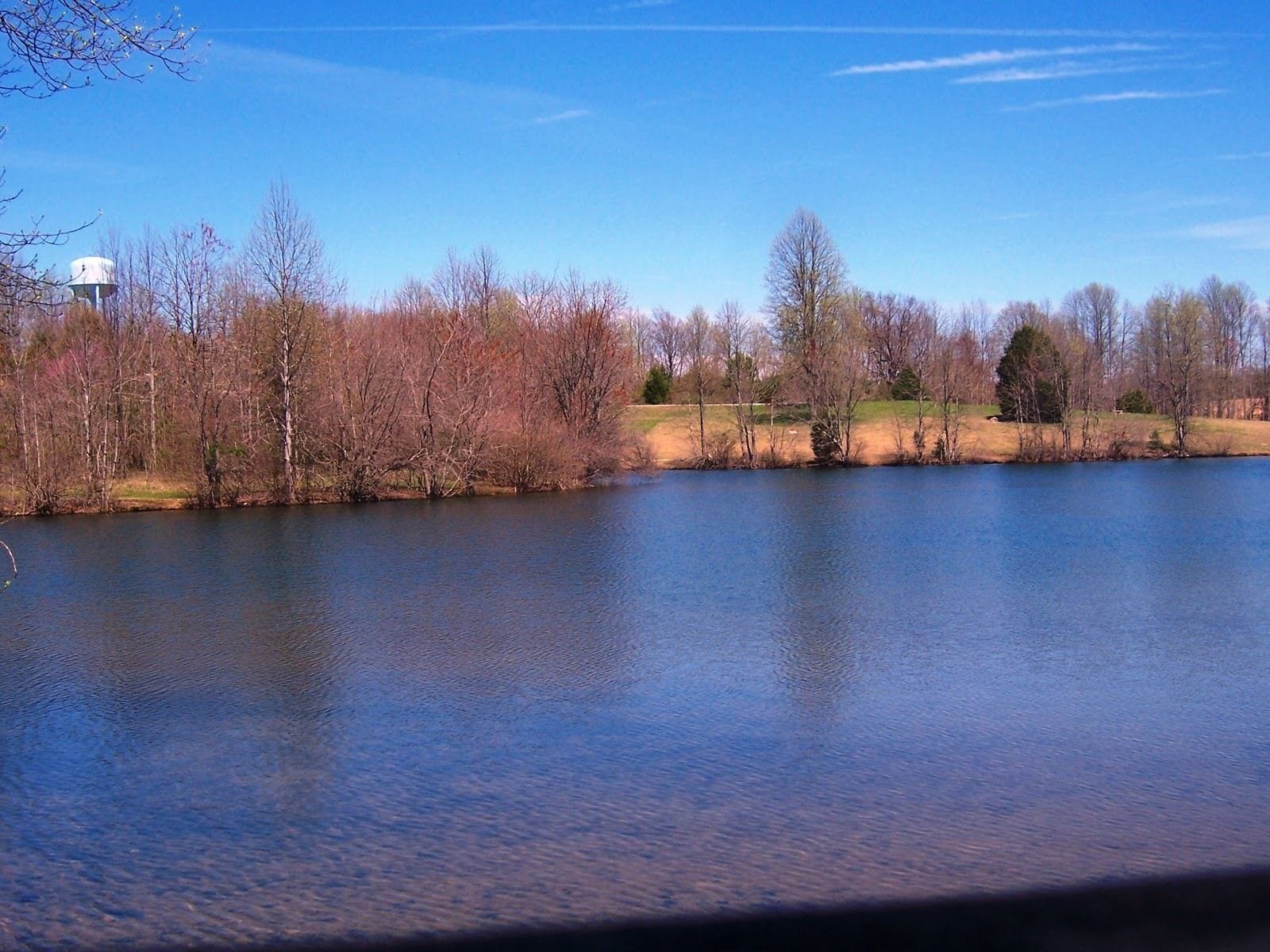 A calm lake with trees and a water tower in the background.