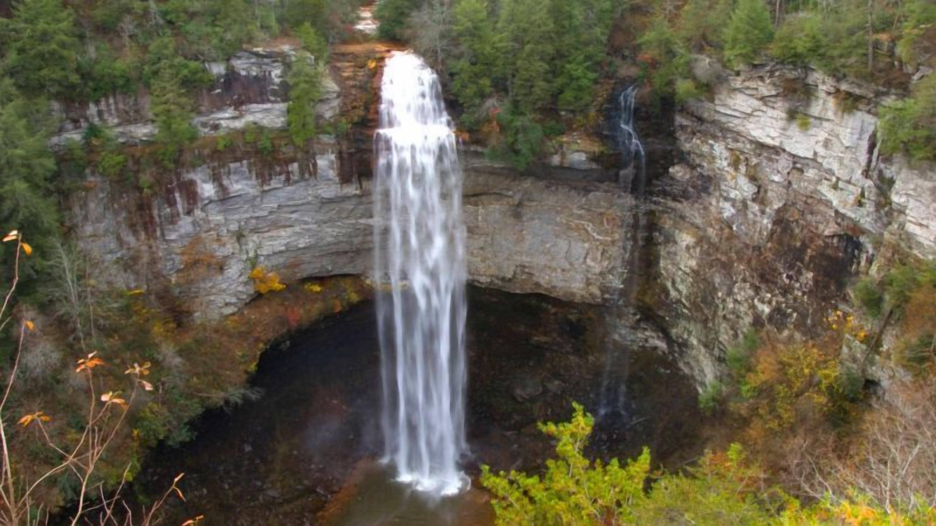 Una cascada fluye a través de una formación rocosa natural en arco, rodeada de un bosque frondoso.