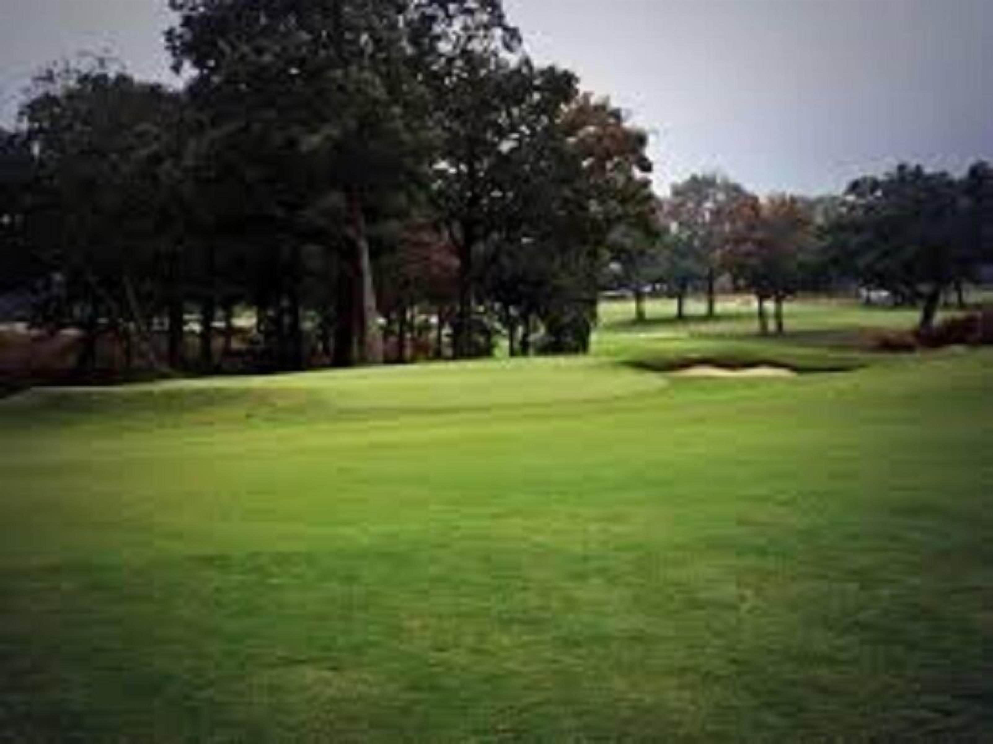 A golf course with a well-maintained green, sand bunkers, and tall trees.