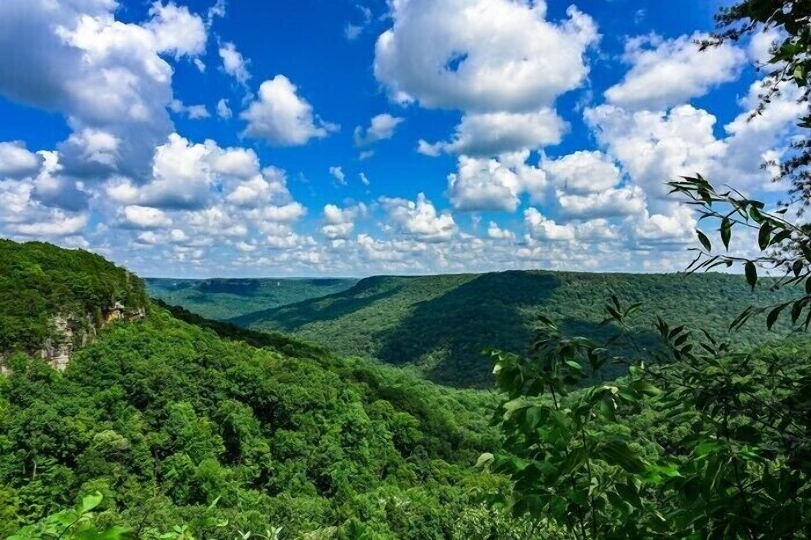 Un paysage verdoyant et luxuriant, avec des collines douces et un ciel bleu clair parsemé de nuages.