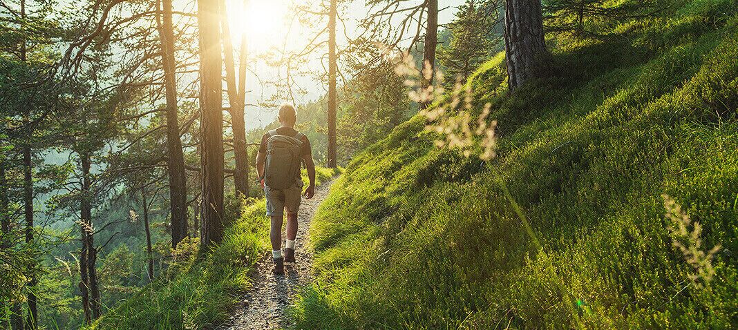 A person hiking on a forest trail.