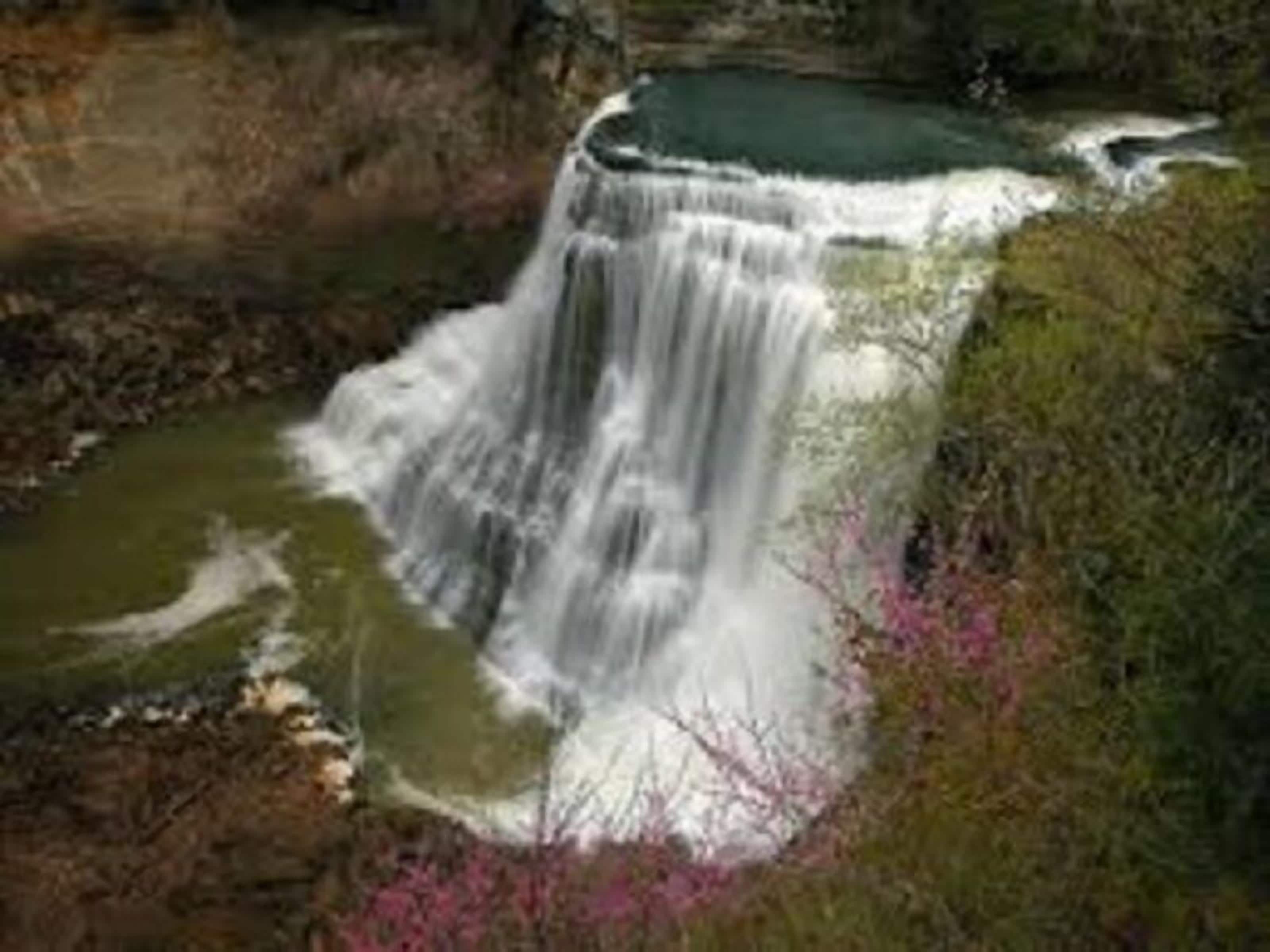 Une cascade se jetant dans un bassin entouré d’une végétation naturelle.