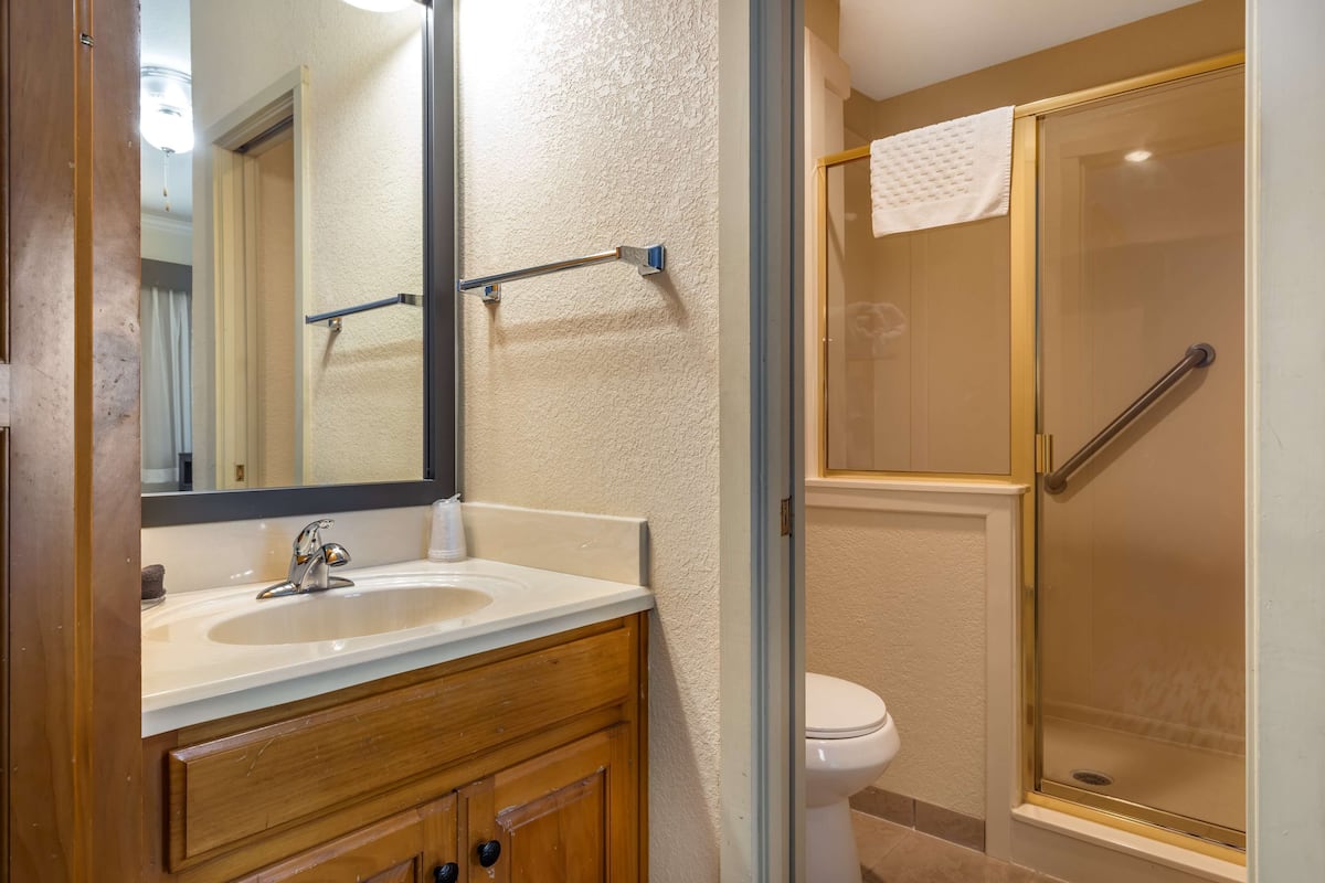 free toiletries, hair dryer, towels