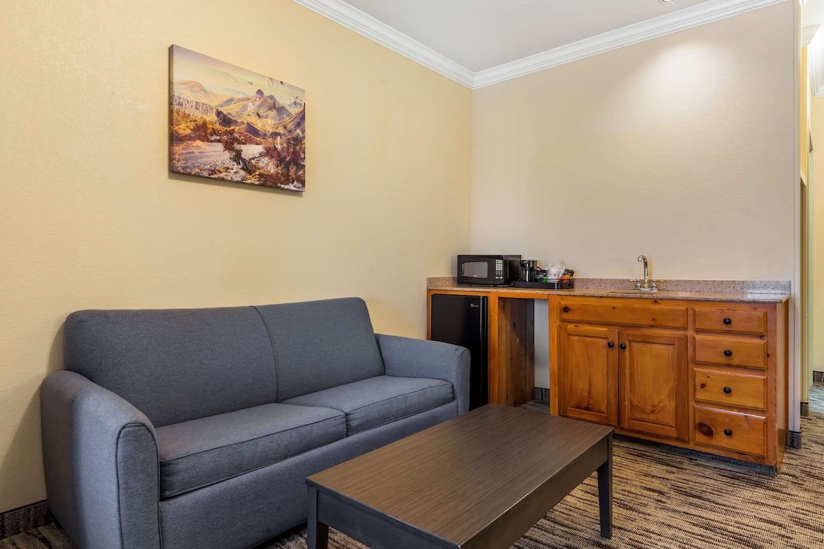 1 bedroom, desk, laptop workspace, blackout curtains