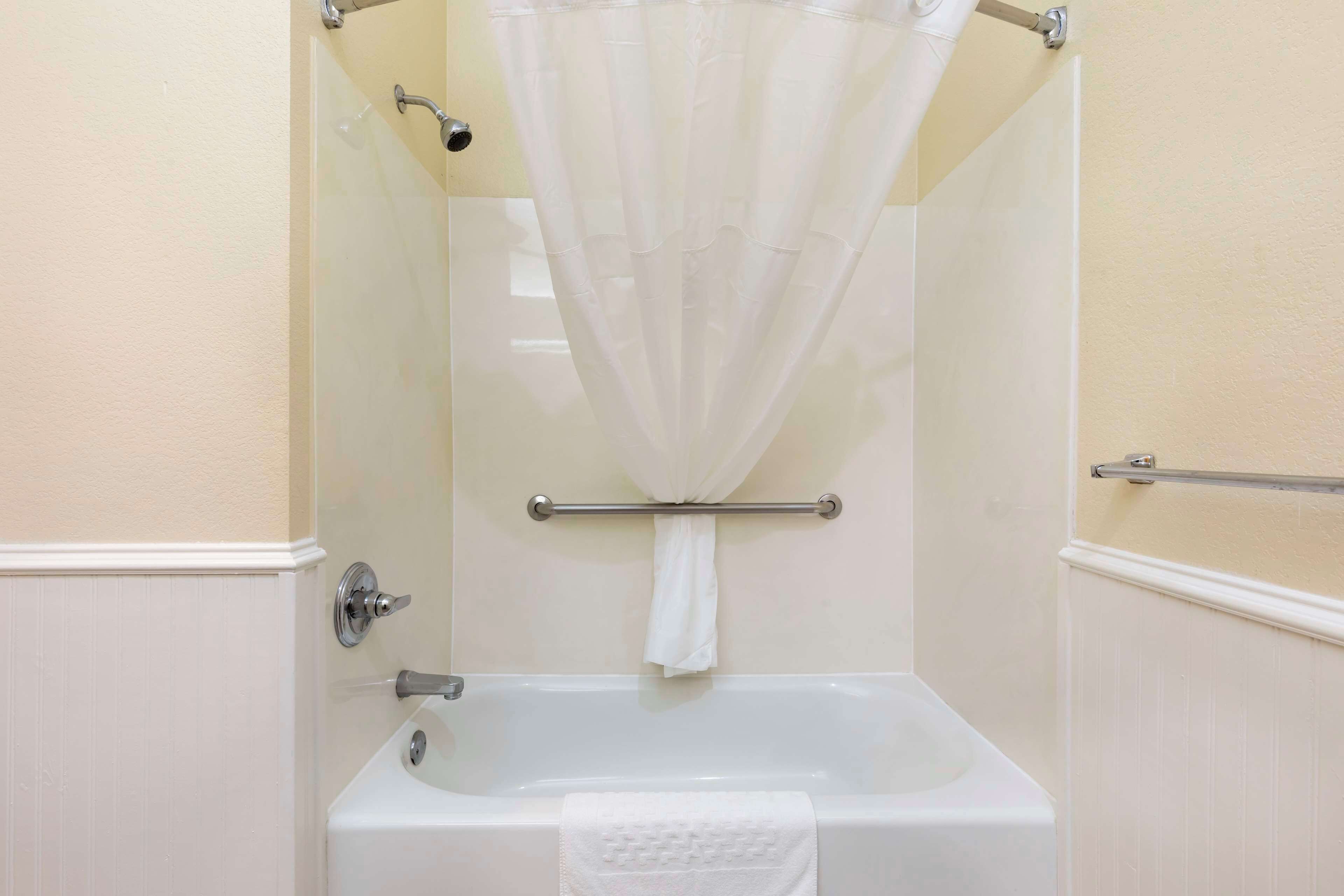 suite, 1 king bed, accessible, bathtub (with sofabed) | bathroom | free toiletries, hair dryer, towels