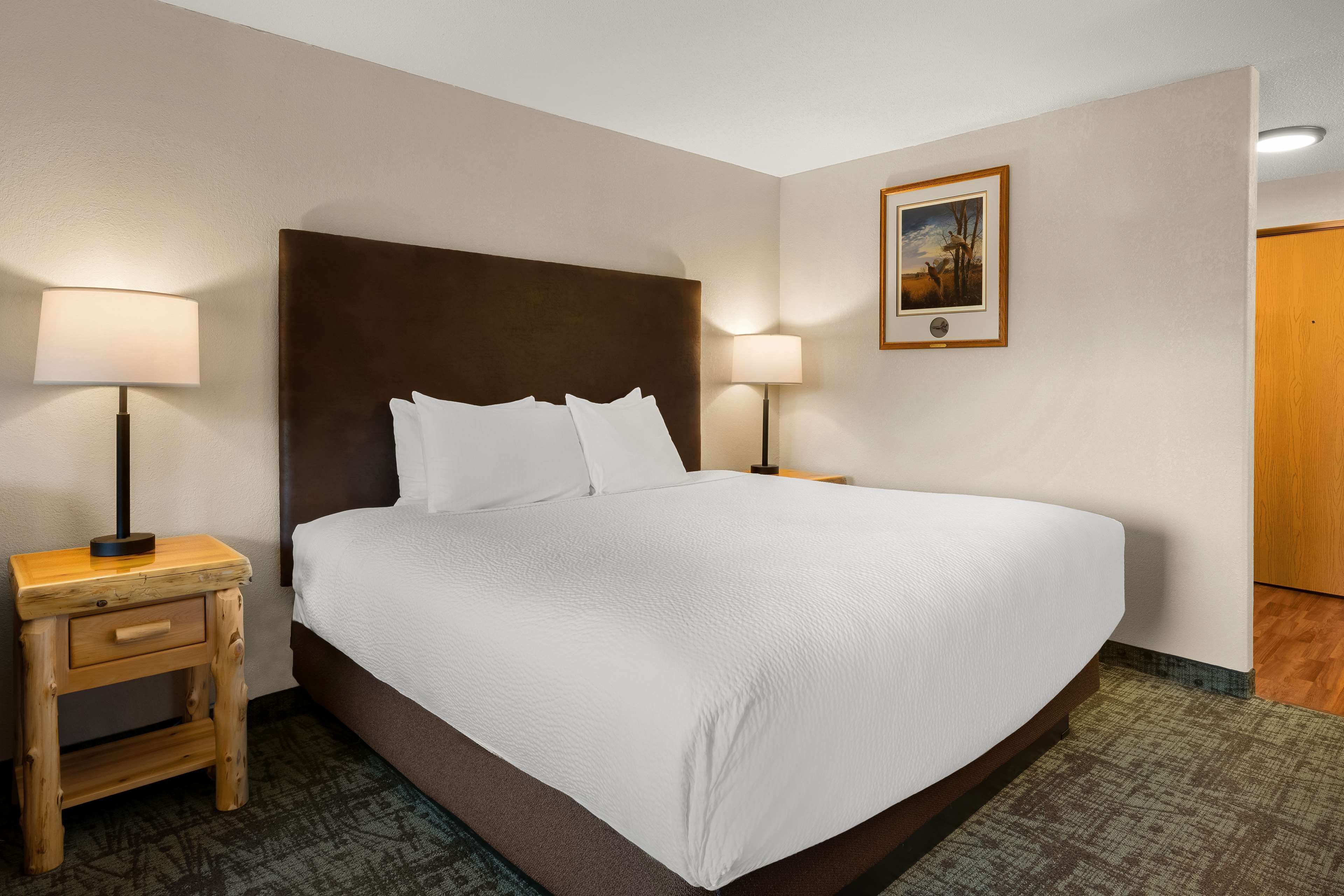 standard room, 1 king bed, non smoking, refrigerator & microwave | 1 bedroom, in-room safe, iron/ironing board, rollaway beds