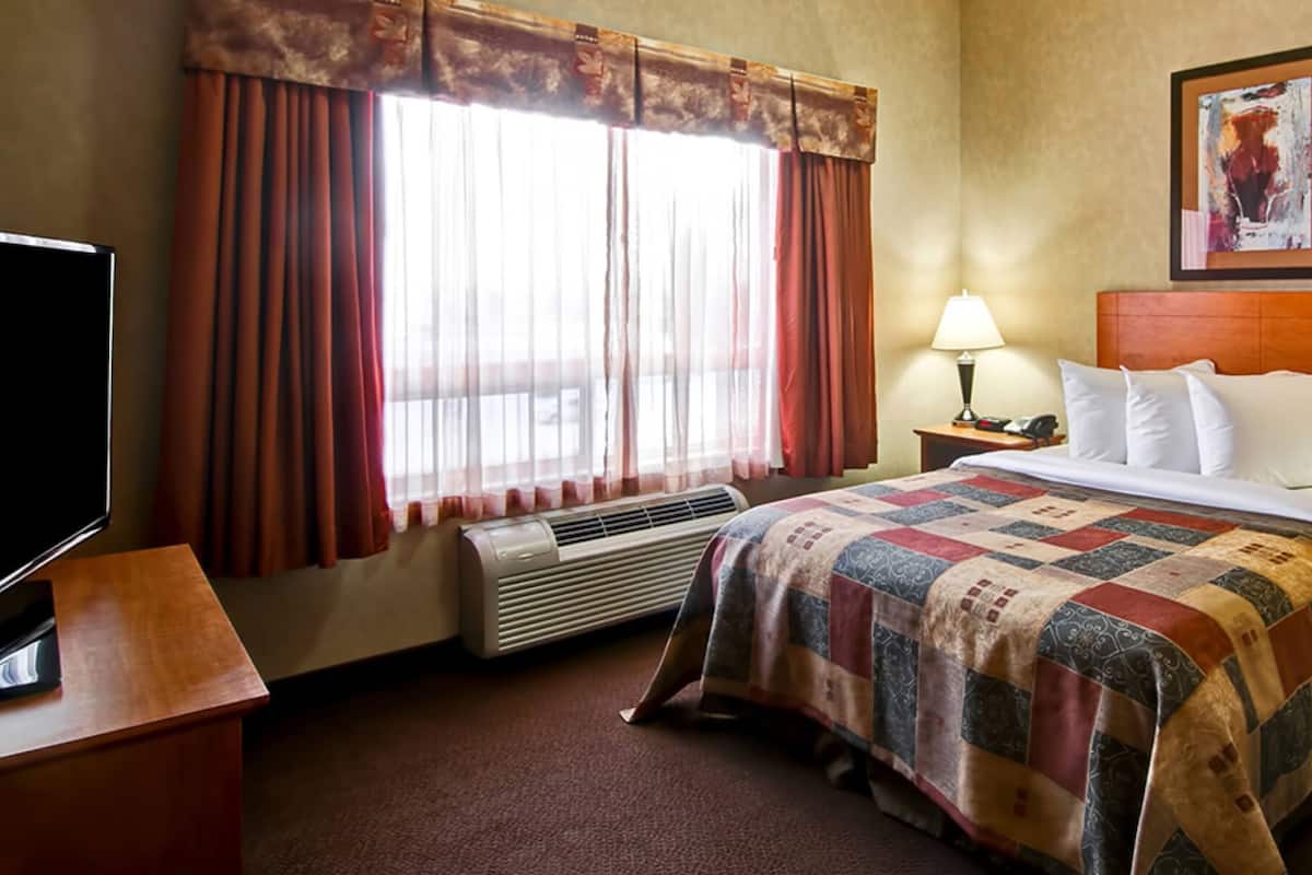 Family Suite | Premium bedding, down comforters, desk, iron/ironing board