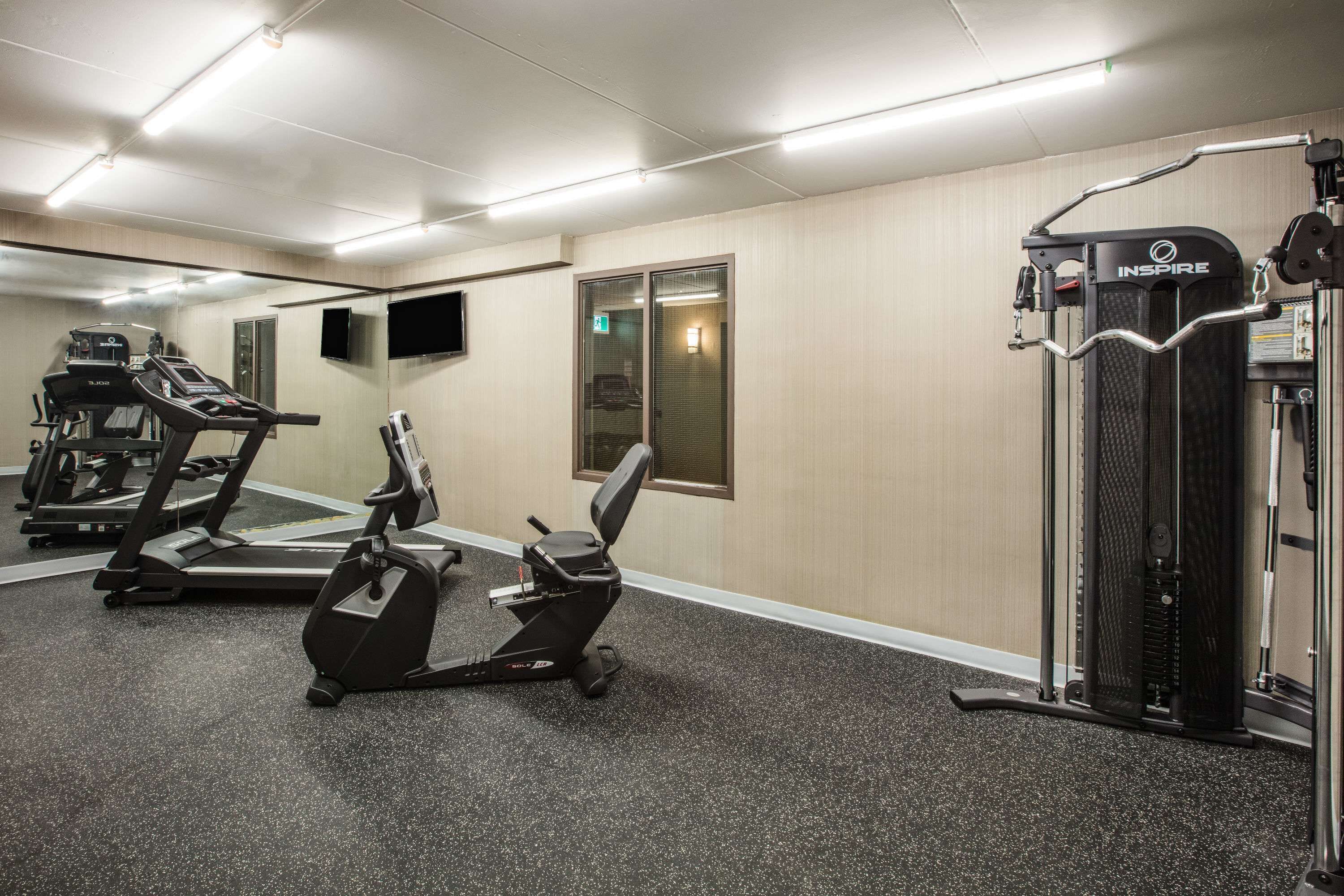 Une salle de sport équipée de tapis de course, d’un appareil elliptique et d’une machine de musculation.