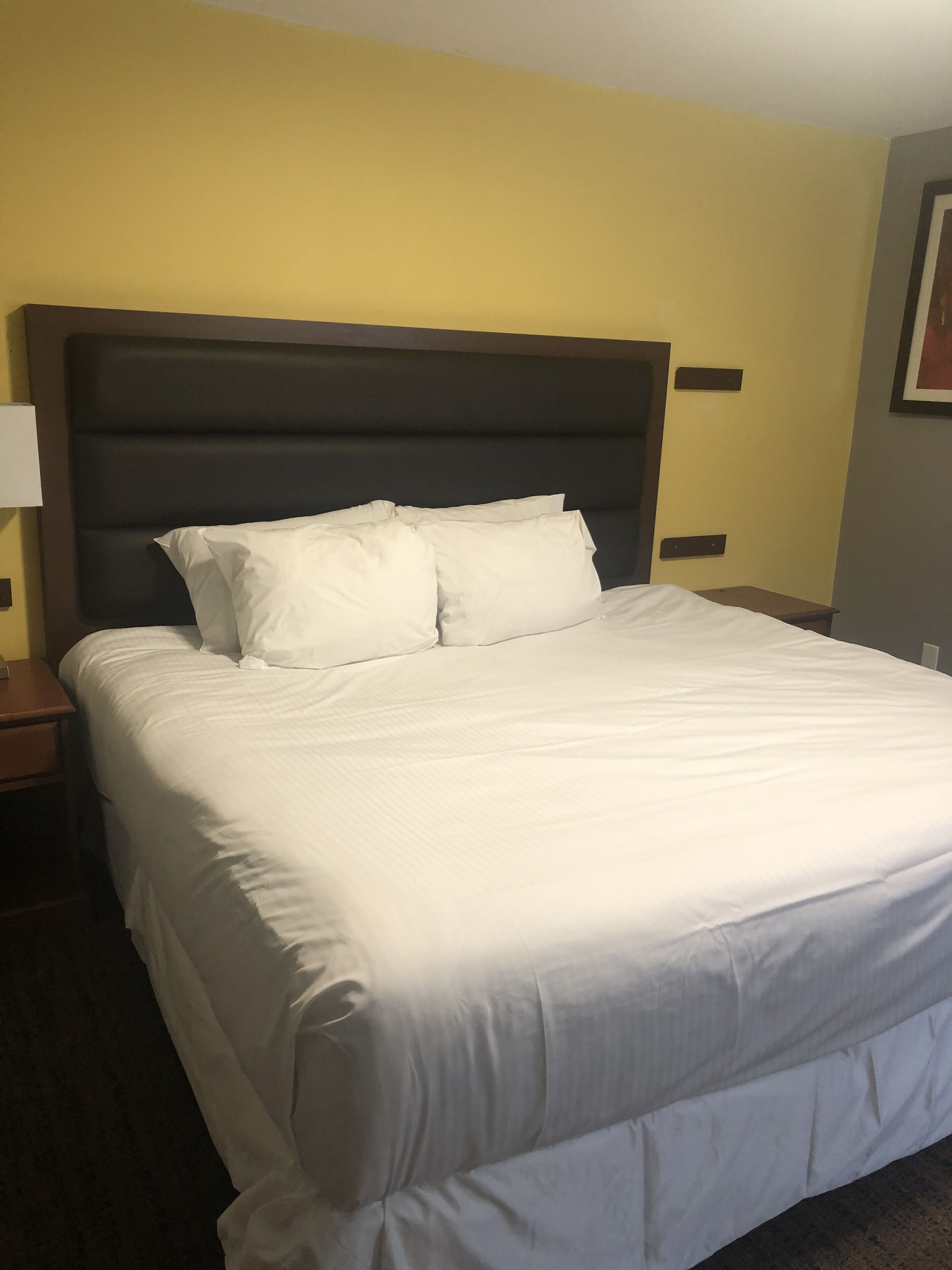 A neatly made bed with white linens, a dark headboard, and a small bedside table with a lamp.