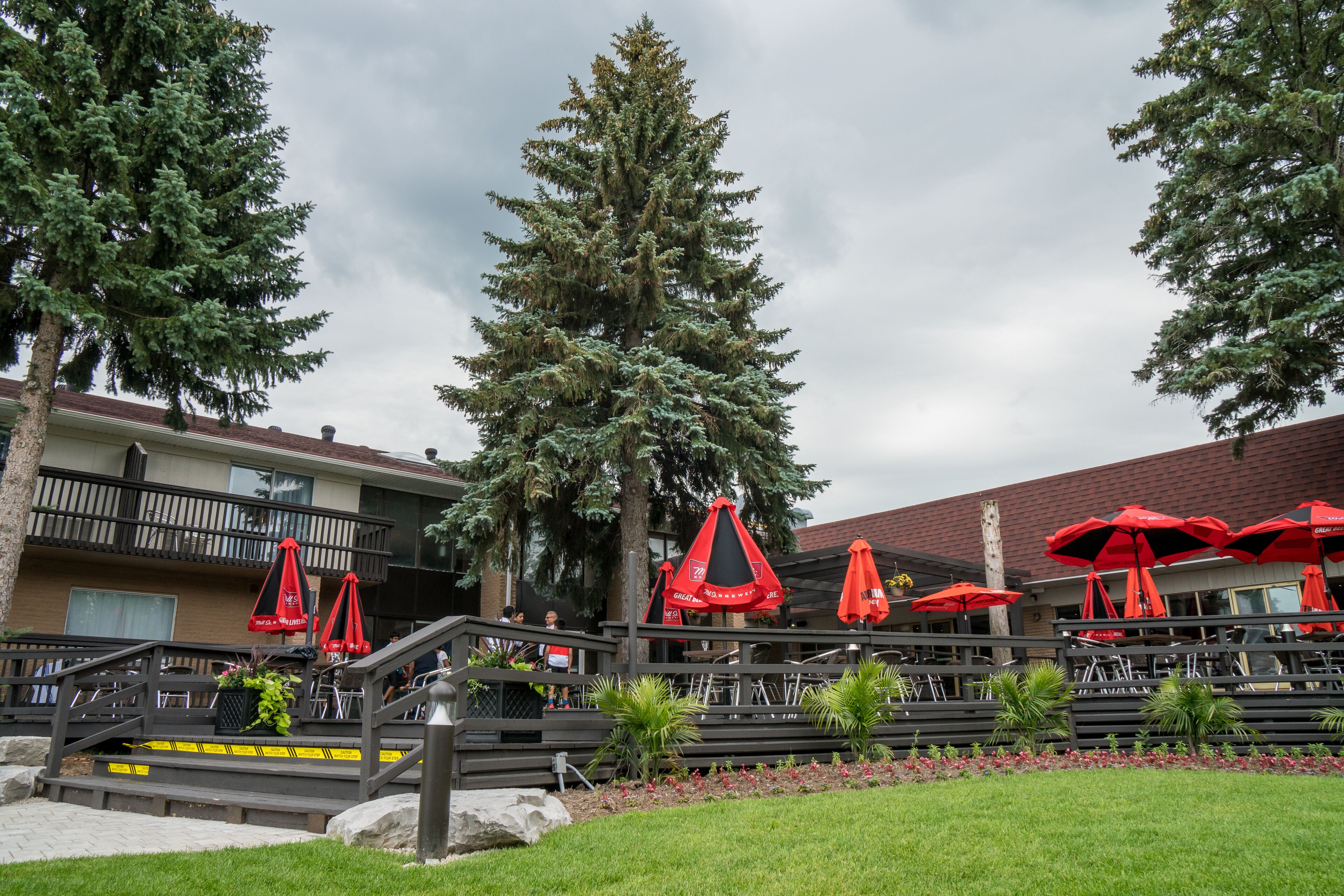 テラス / パティオ