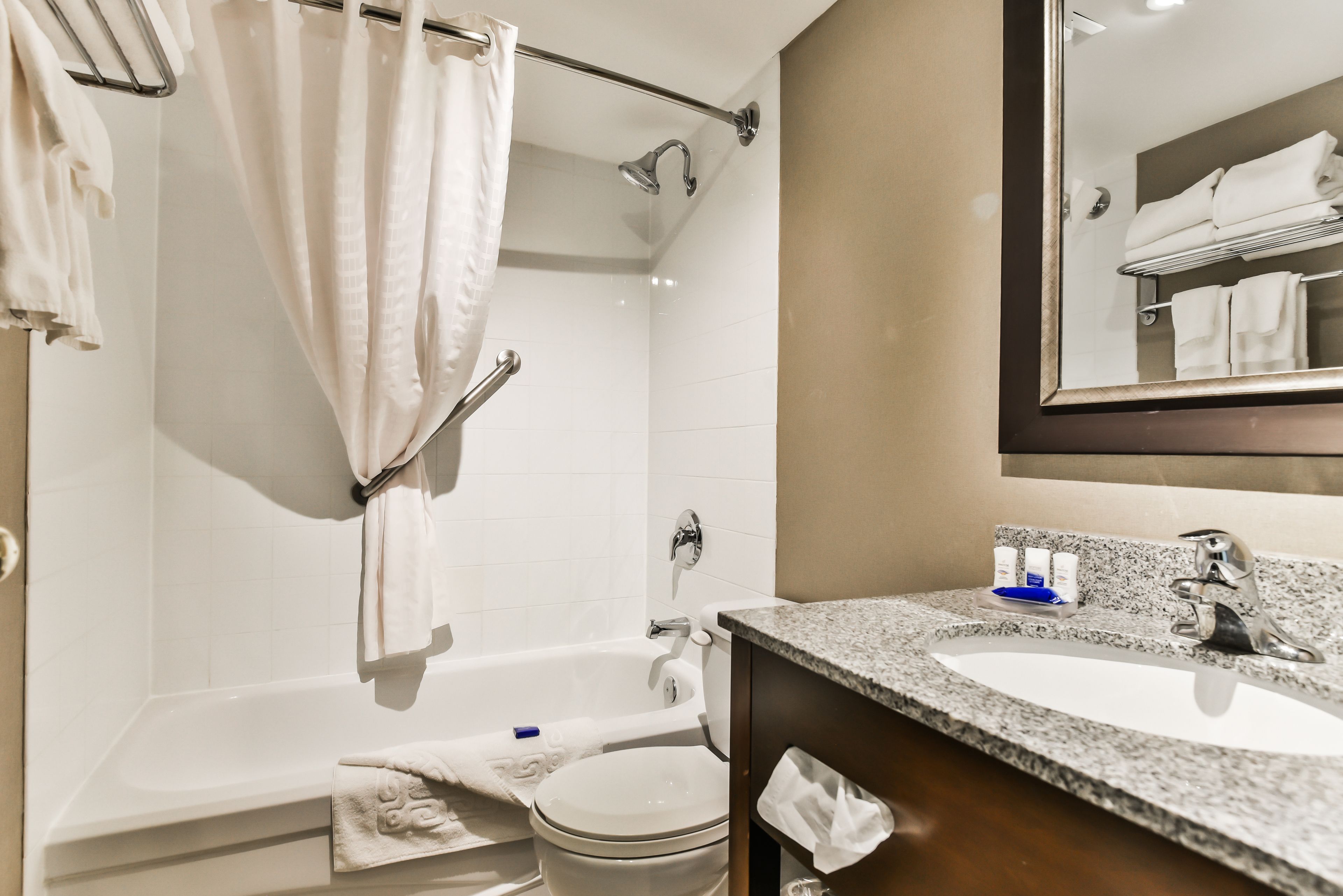 combined shower/bathtub, free toiletries, hair dryer, towels