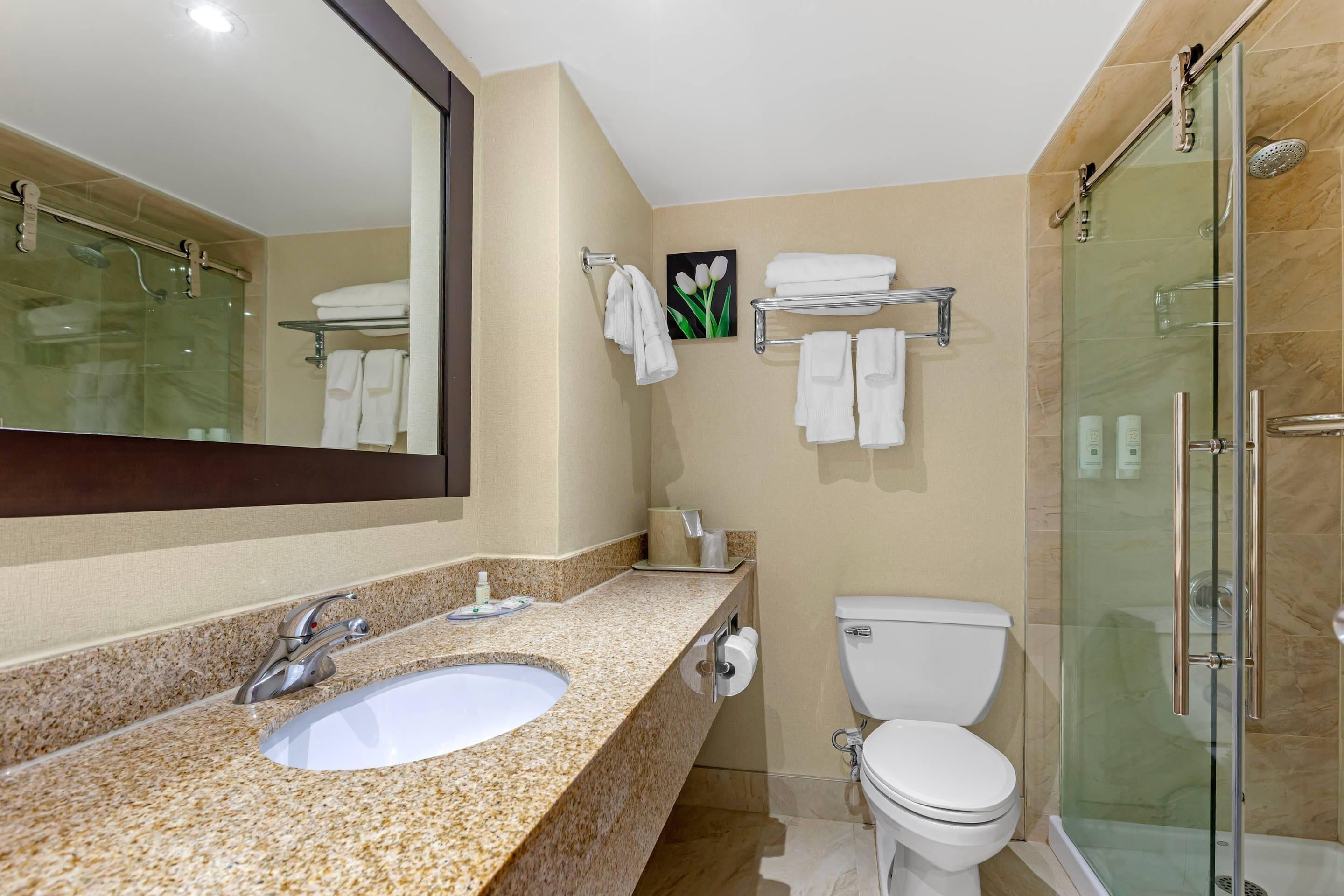 Une salle de bain avec un lavabo sur un plan de travail en granit, un grand miroir, une douche à parois de verre et des toilettes.