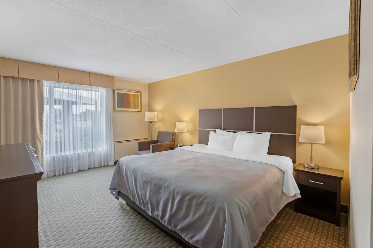 Standard Room, 1 King Bed, Non Smoking | Premium bedding, in-room safe, desk, laptop workspace