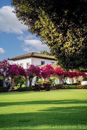 Jardines del alojamiento