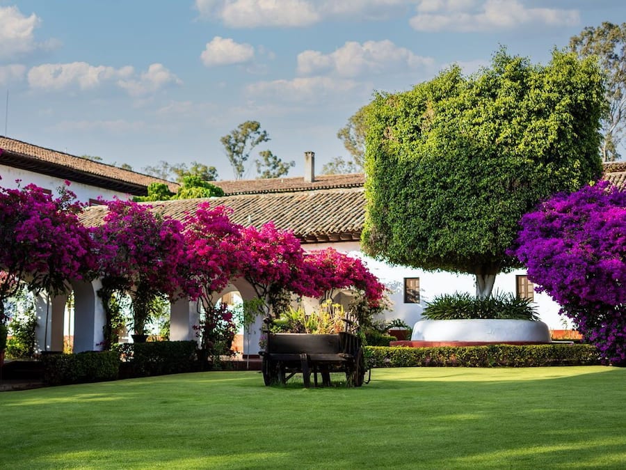 Área da propriedade