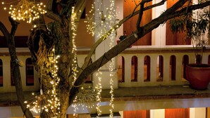 Ein Baum, der mit Lichterketten geschmückt ist, in einem Innenraum mit Balkon und Topfpflanzen.