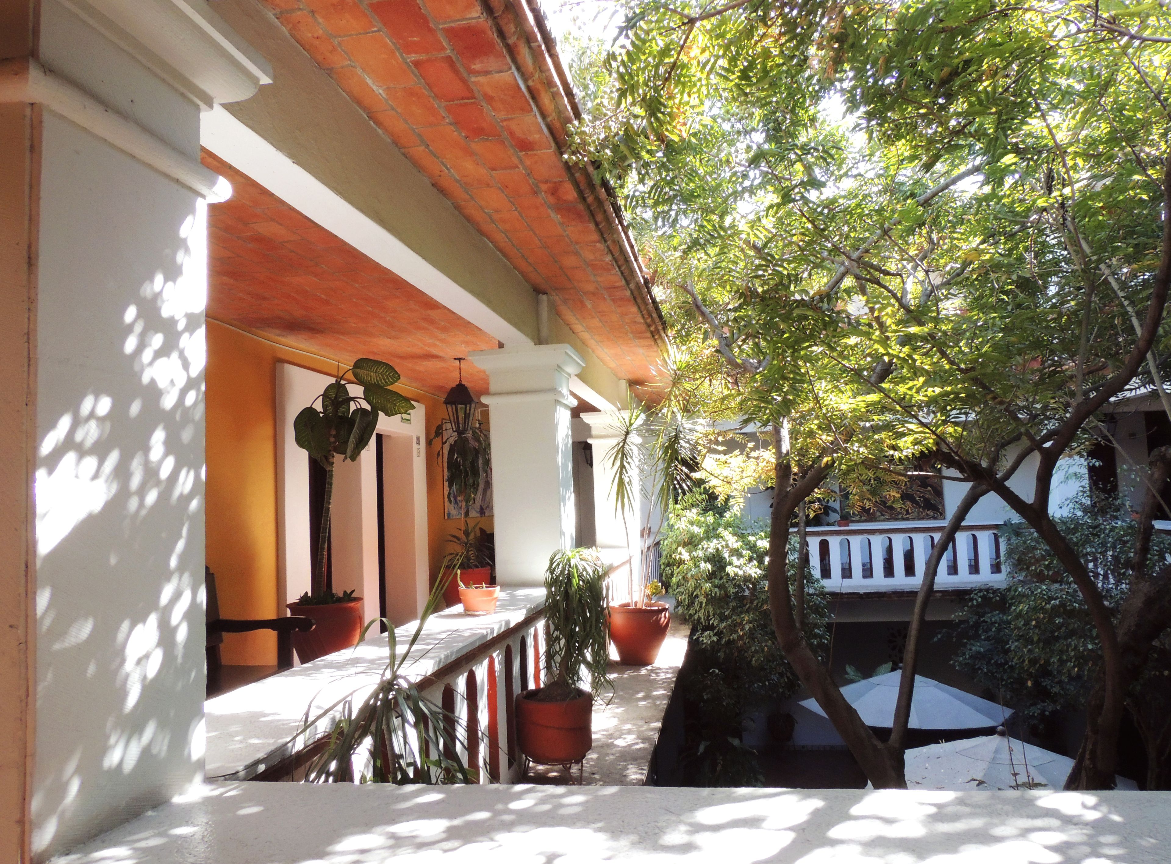 A covered outdoor area with a tiled roof, potted plants, and a view of a building in the background.