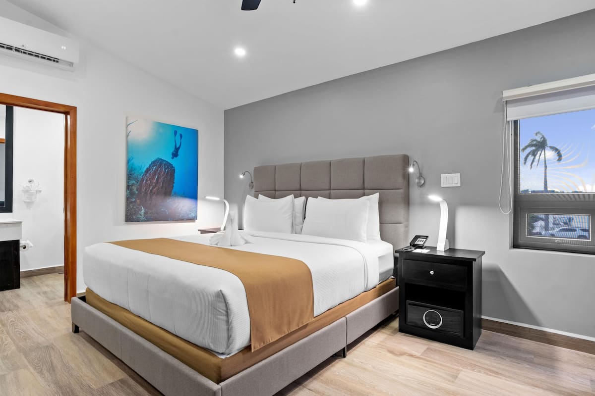 Habitación Premium, 1 cama de matrimonio grande, no fumadores, frigorífico y microondas | Caja fuerte, escritorio, espacio para trabajar con un portátil