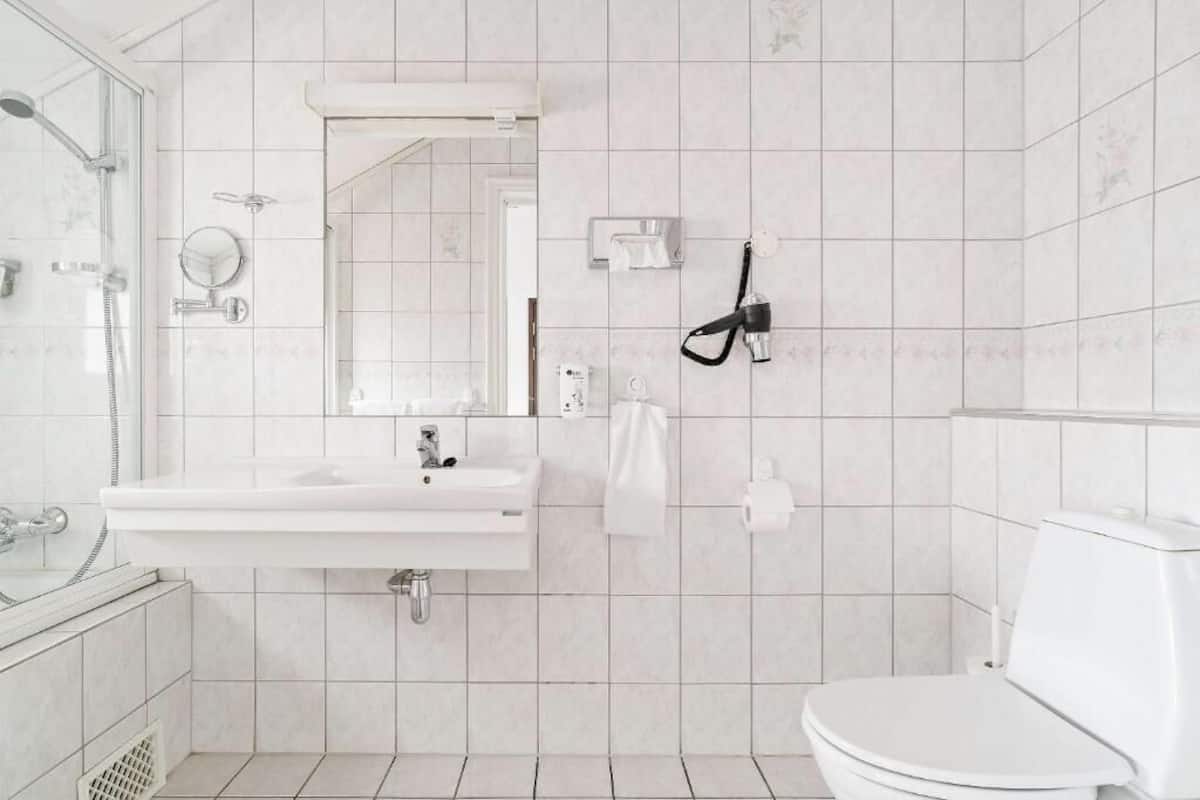 shower, free toiletries, hair dryer, towels