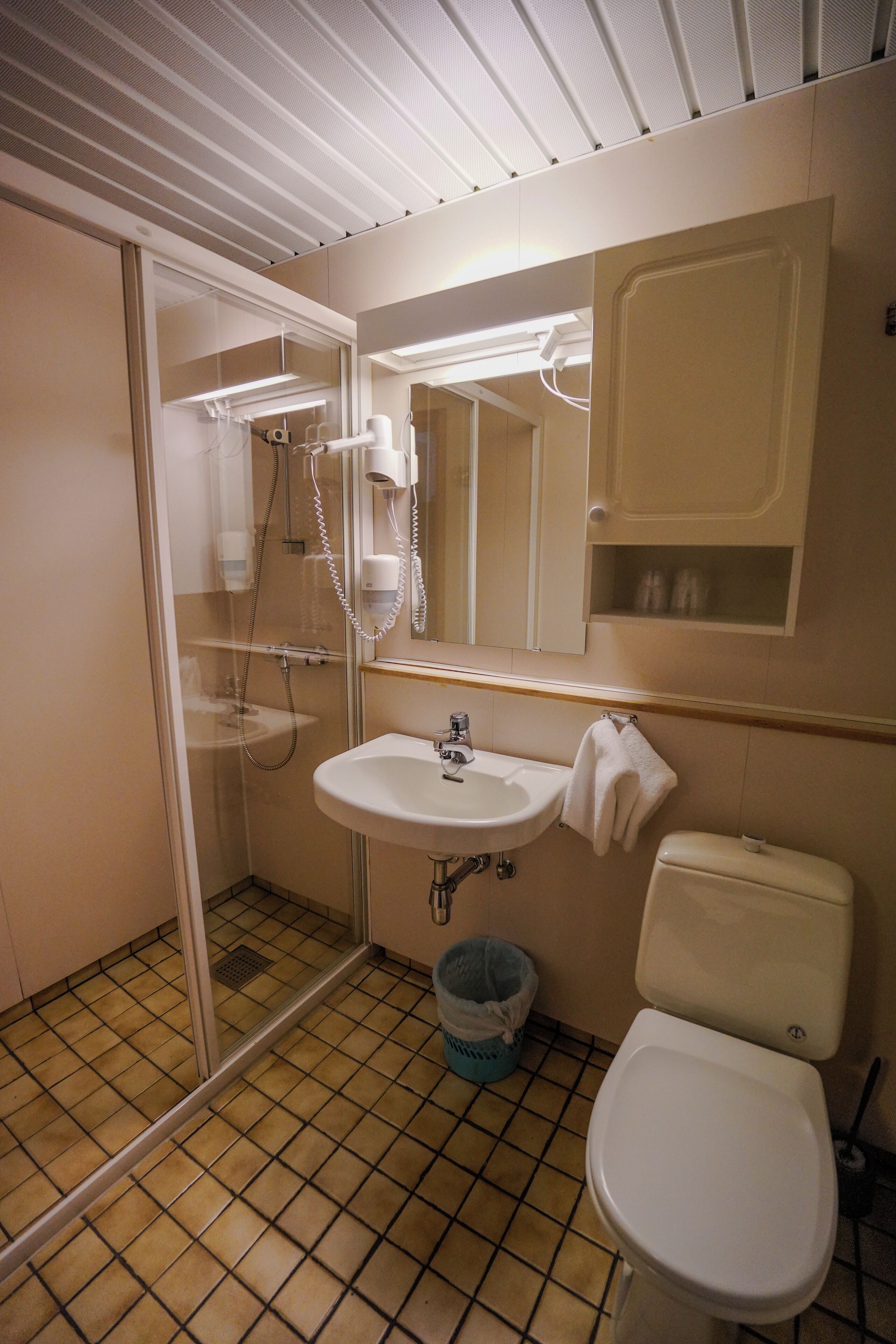 Une salle de bain avec une douche à parois de verre, un lavabo, des toilettes et un miroir au-dessus du lavabo.