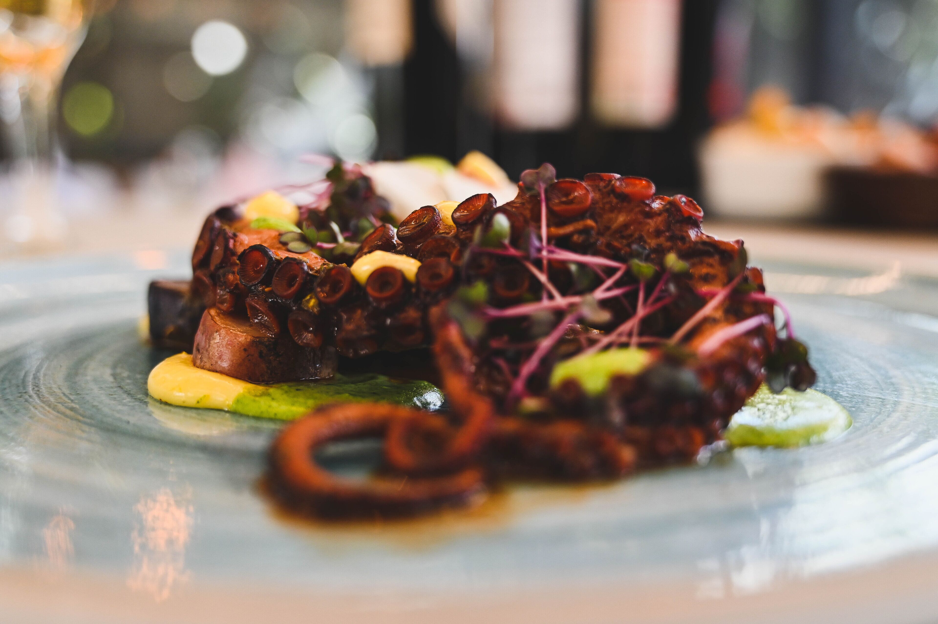 Un plato de pulpo con verduras y salsa.